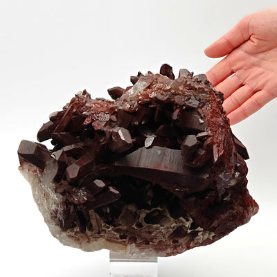 Side view of hematoid quartz cluster with hand for scale, Tinejdad, Morocco