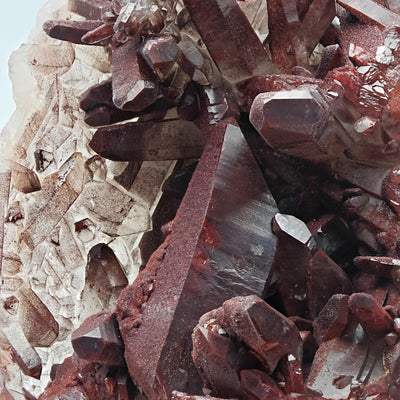 Hematoid quartz crystal cluster with hand for scale, Tinejdad, Morocco - view 22