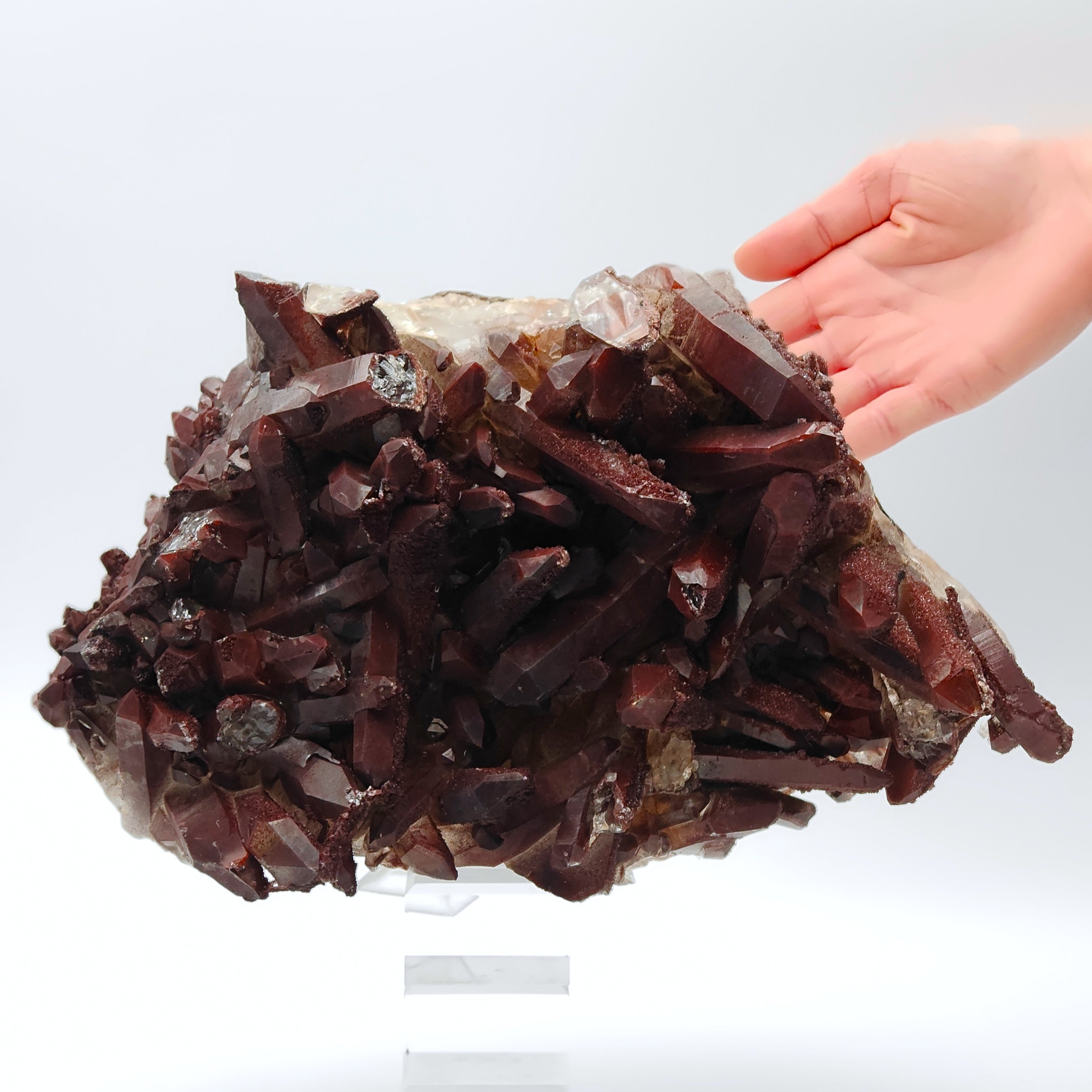 HEMATOID QUARTZ – Spectacular BORDEAUX Crystal Cluster with 7.5 cm Crystals, Morocco