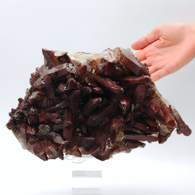 Hematoid quartz cluster shown with hand for scale, Tinejdad, Morocco