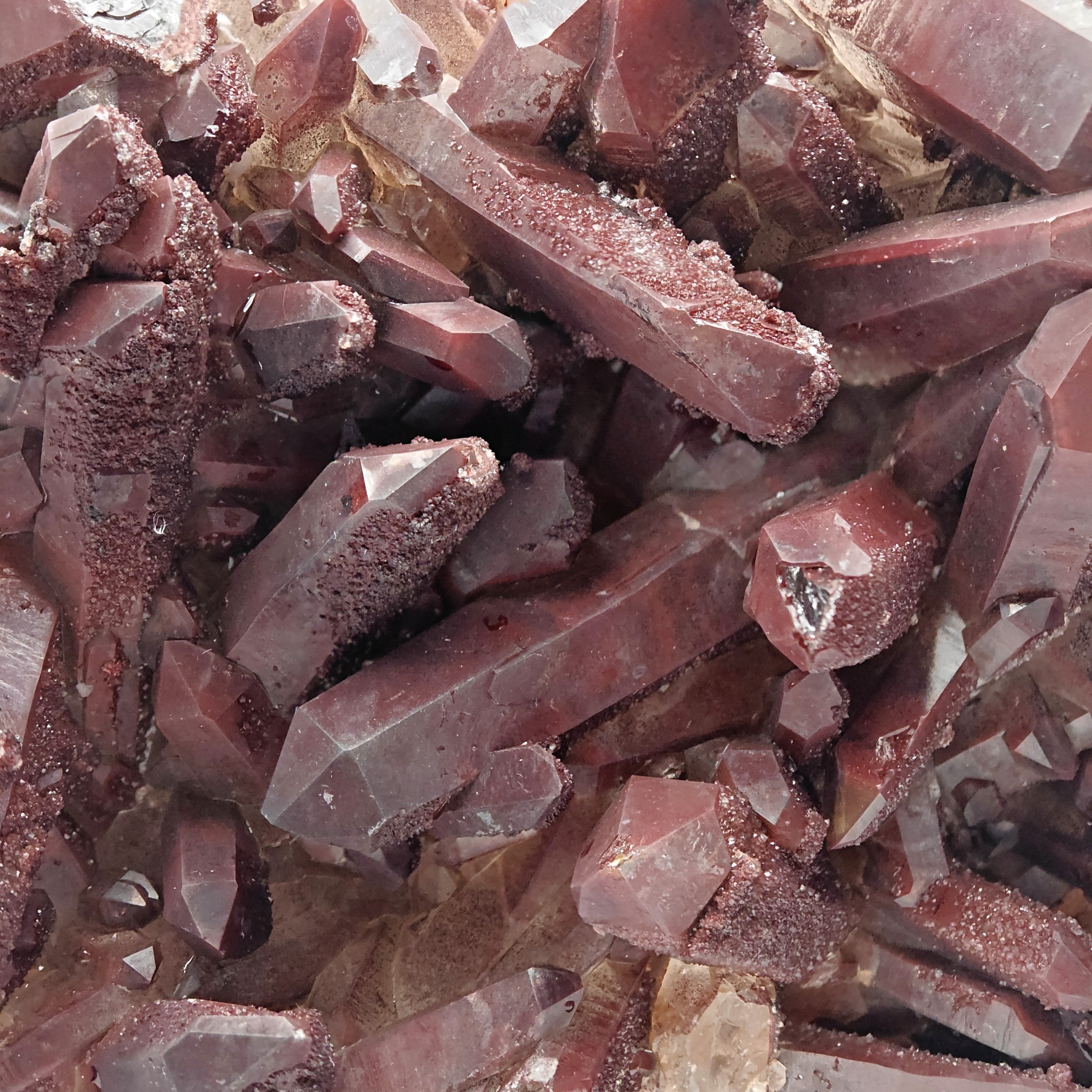 HEMATOID QUARTZ – Spectacular BORDEAUX Crystal Cluster with 7.5 cm Crystals, Morocco