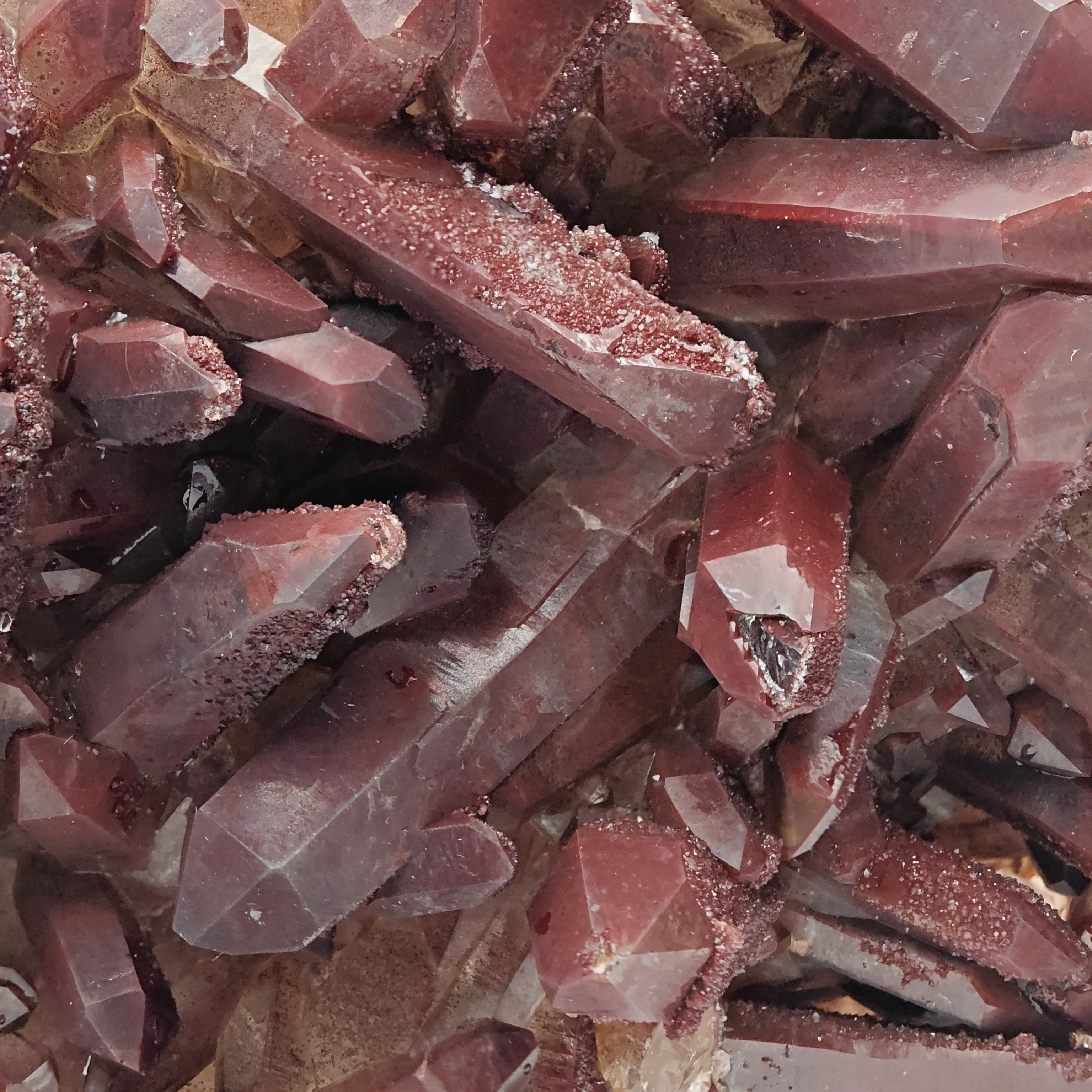 HEMATOID QUARTZ – Spectacular BORDEAUX Crystal Cluster with 7.5 cm Crystals, Morocco