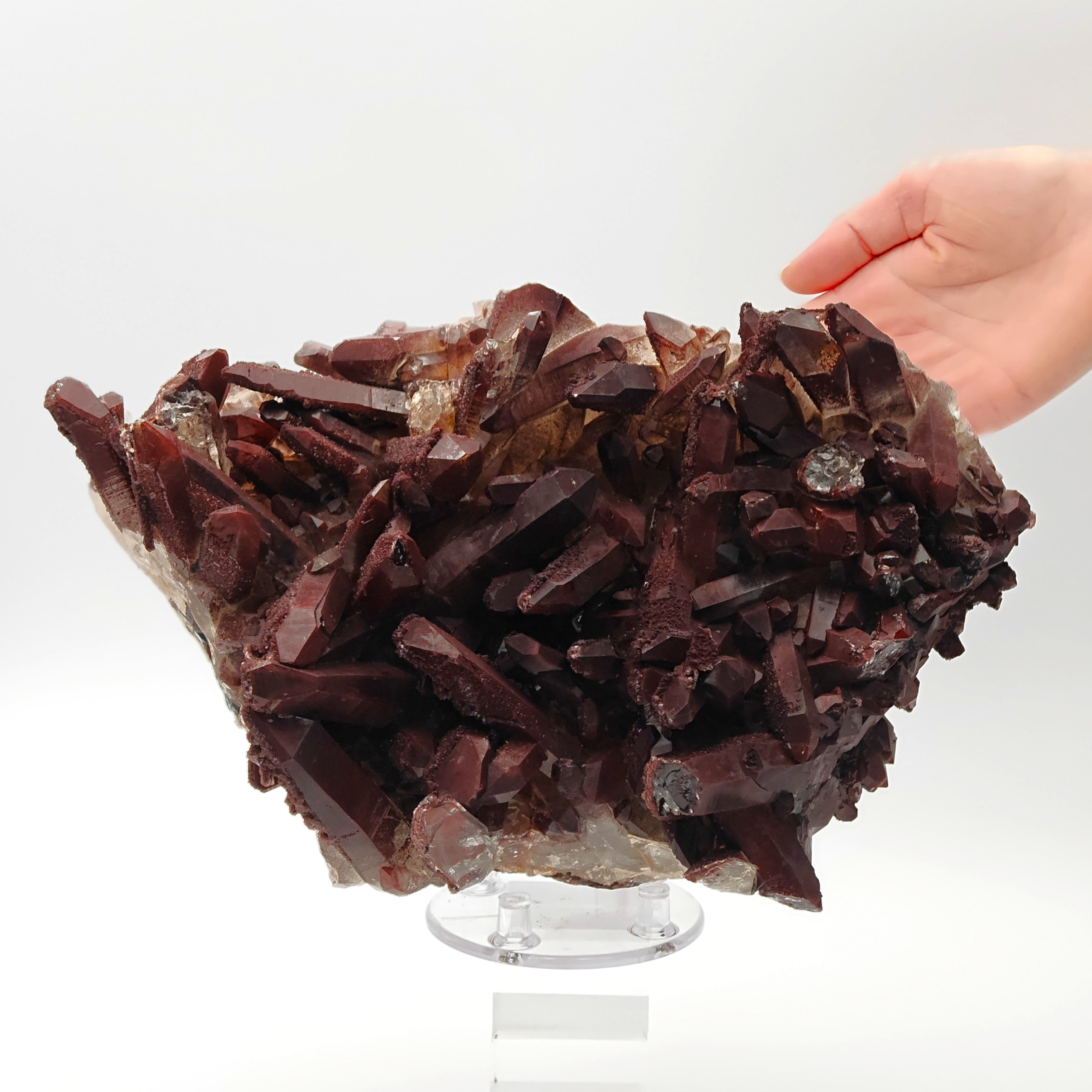 HEMATOID QUARTZ – Spectacular BORDEAUX Crystal Cluster with 7.5 cm Crystals, Morocco