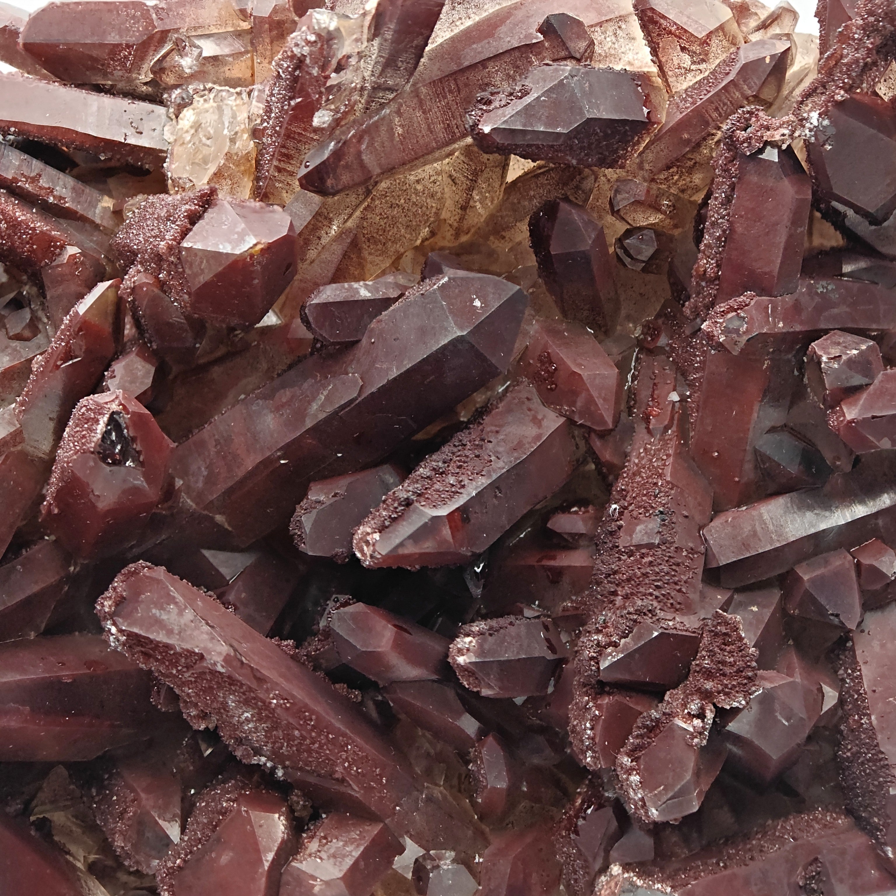 HEMATOID QUARTZ – Spectacular BORDEAUX Crystal Cluster with 7.5 cm Crystals, Morocco