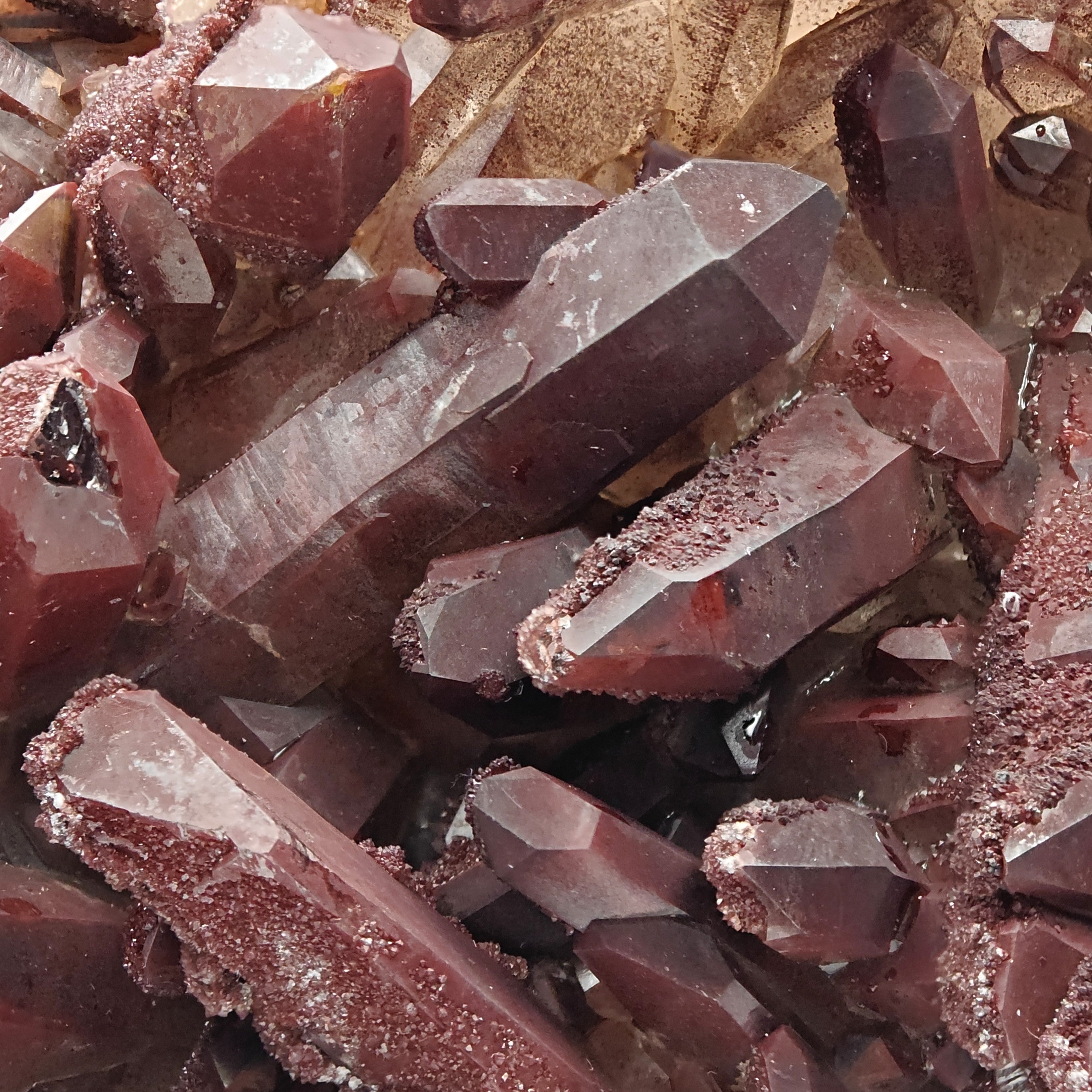 HEMATOID QUARTZ – Spectacular BORDEAUX Crystal Cluster with 7.5 cm Crystals, Morocco