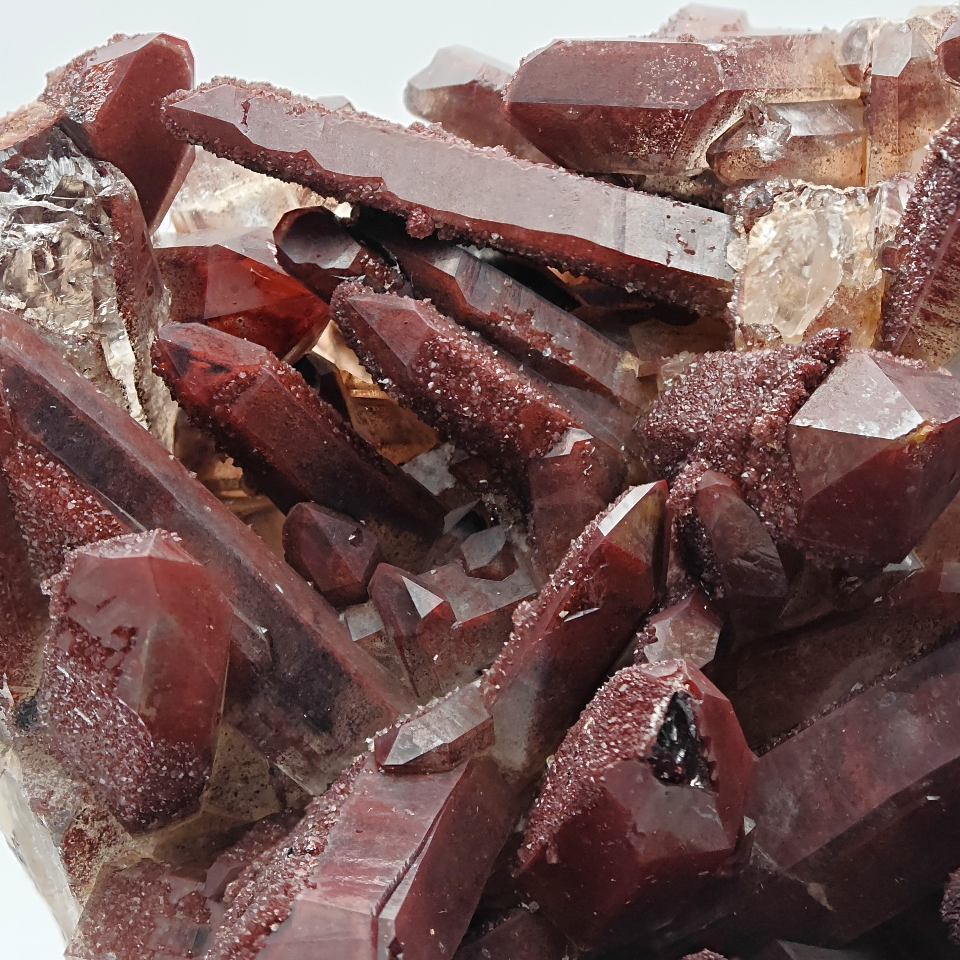 HEMATOID QUARTZ – Spectacular BORDEAUX Crystal Cluster with 7.5 cm Crystals, Morocco
