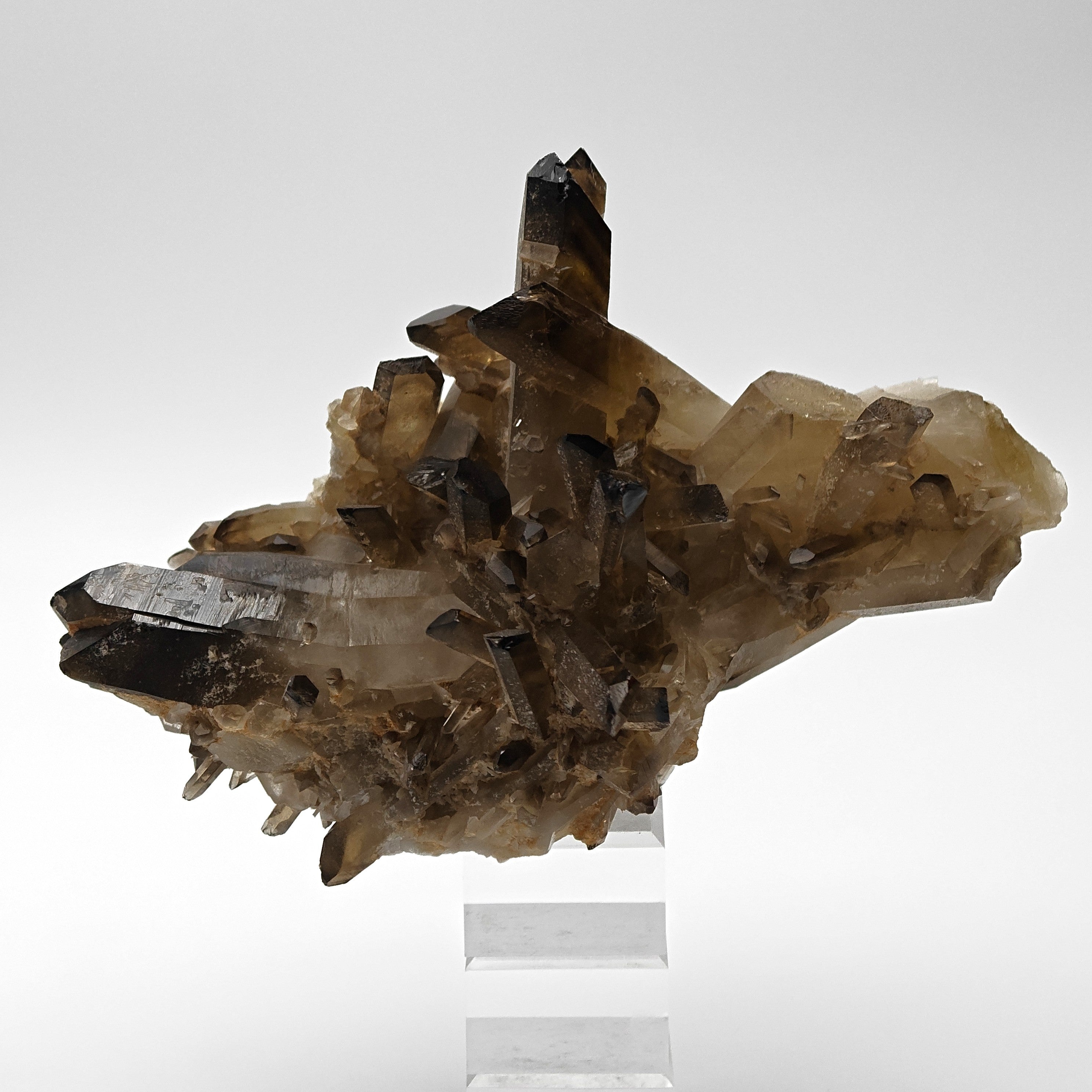 CITRINE QUARTZ – Curved 8.8cm Crystal, Sahatany Valley, Madagascar
