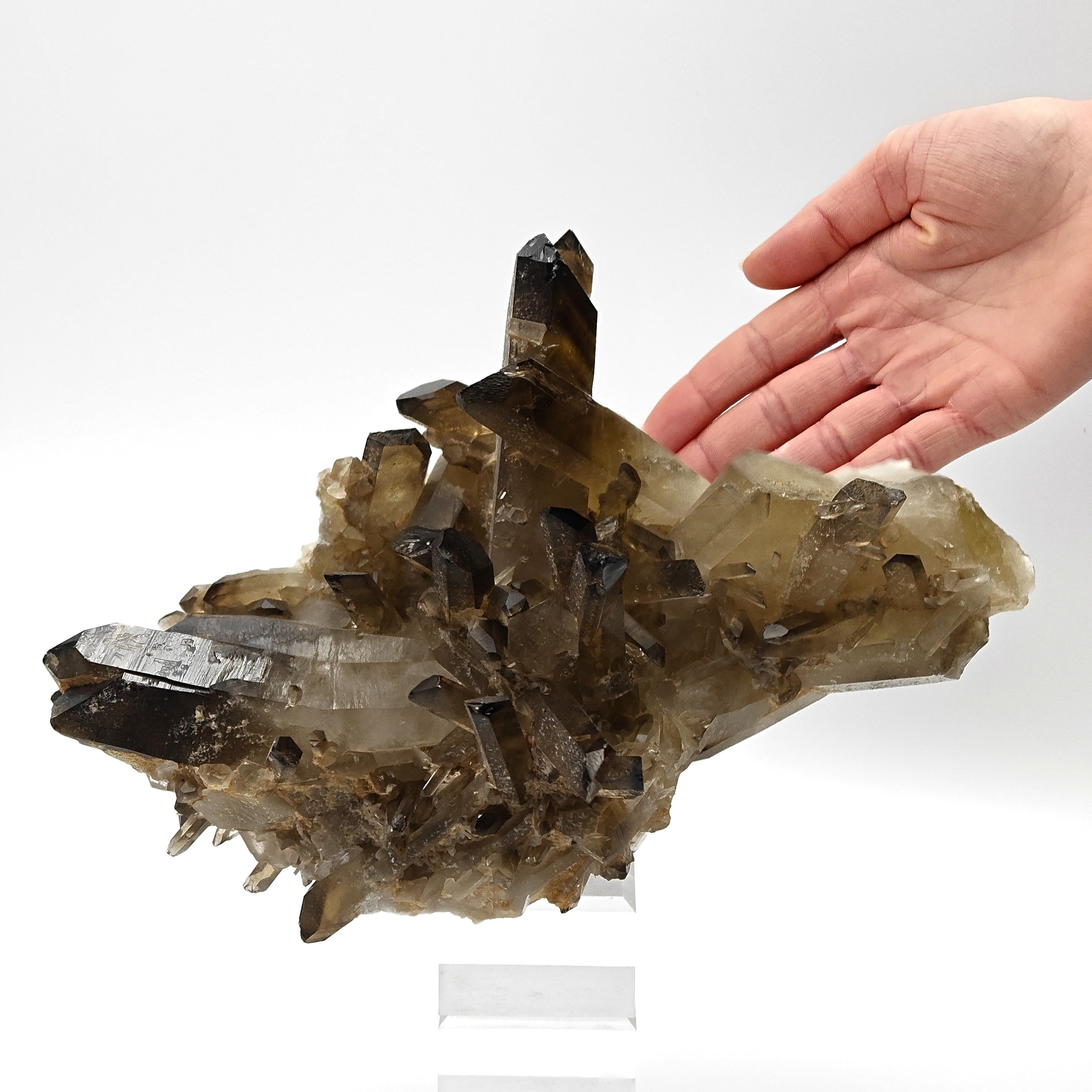 CITRINE QUARTZ – Curved 8.8cm Crystal, Sahatany Valley, Madagascar