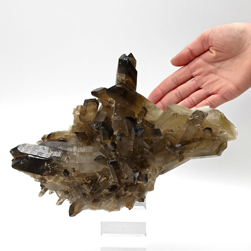 CITRINE QUARTZ – Curved 8.8cm Crystal, Sahatany Valley, Madagascar