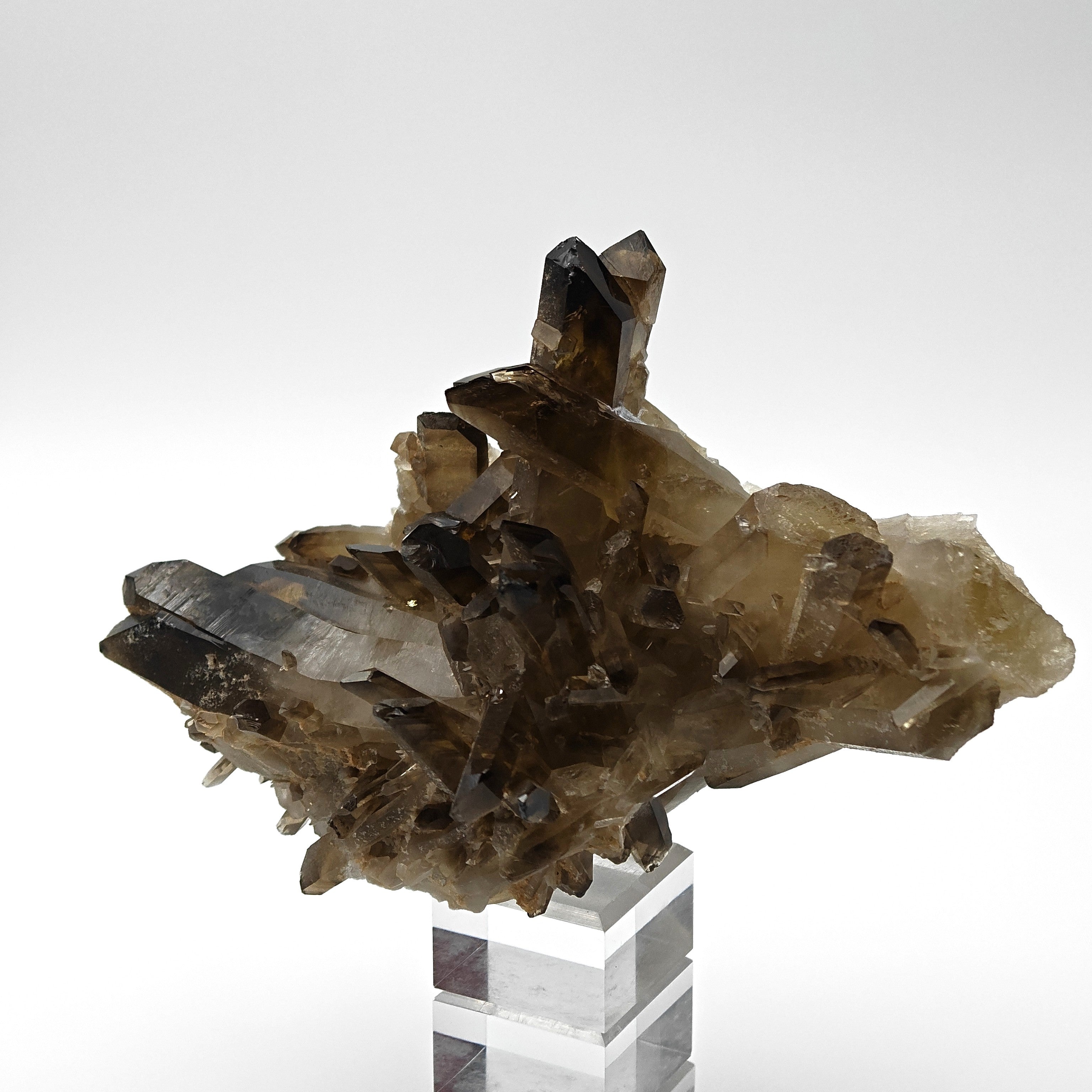 CITRINE QUARTZ – Curved 8.8cm Crystal, Sahatany Valley, Madagascar