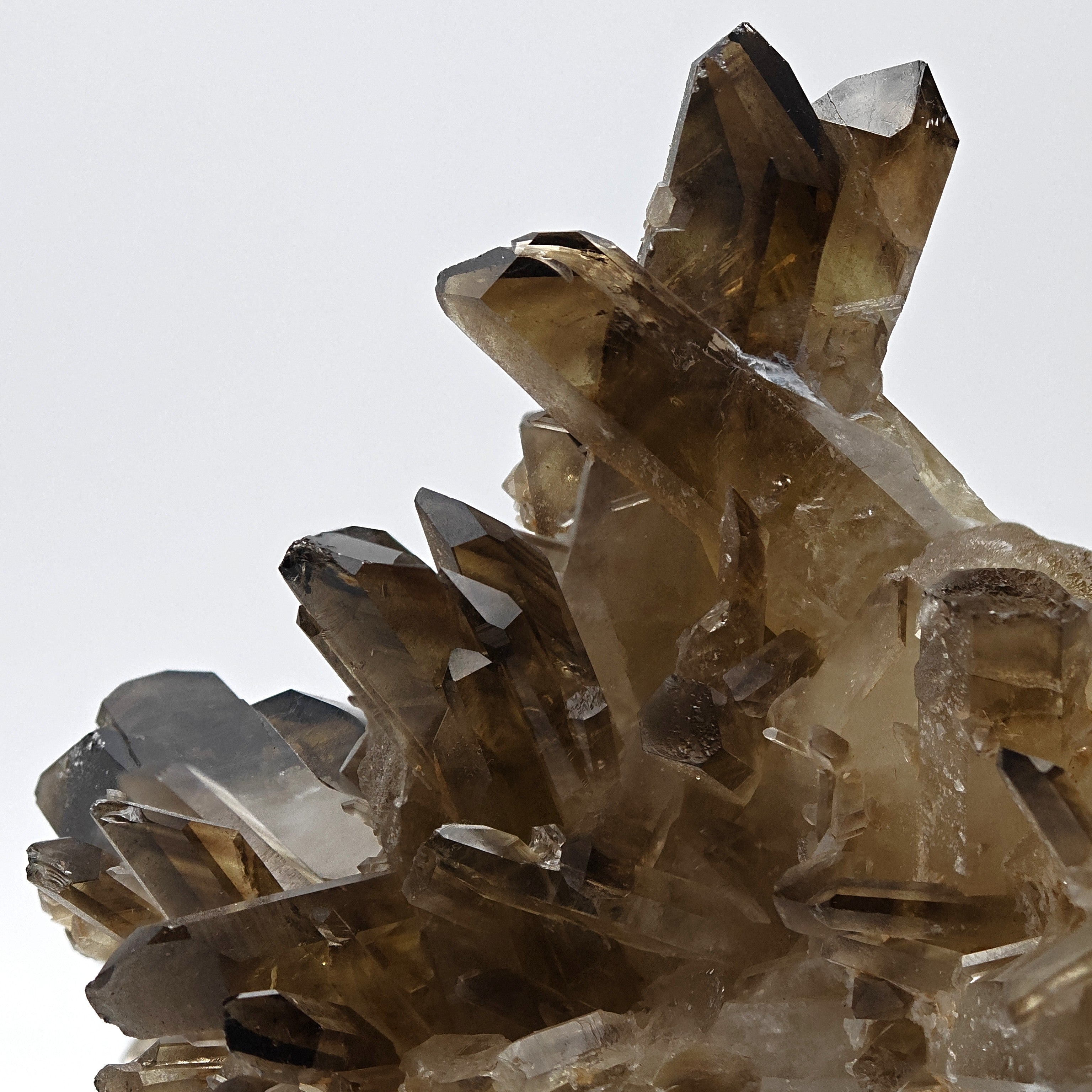 CITRINE QUARTZ – Curved 8.8cm Crystal, Sahatany Valley, Madagascar