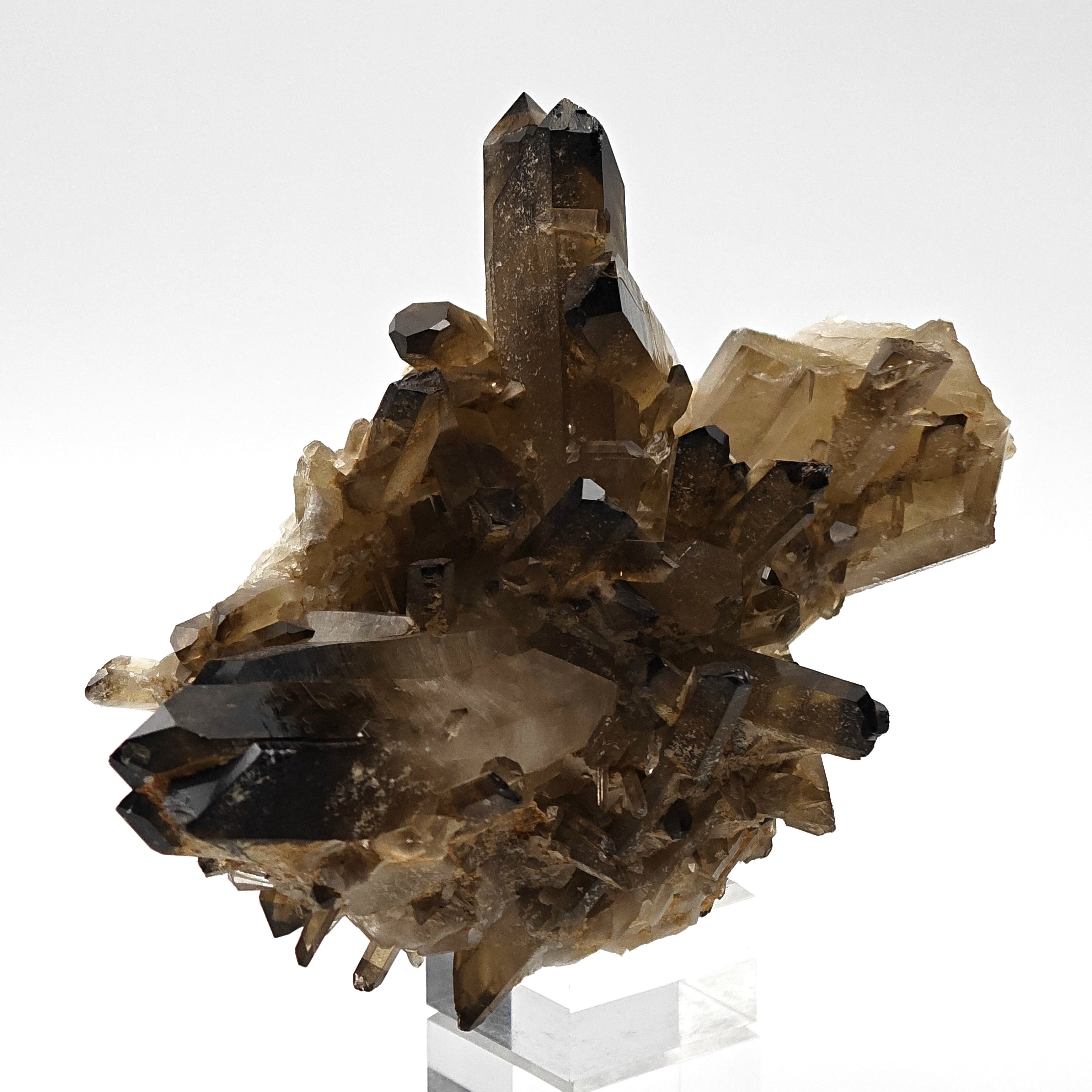 CITRINE QUARTZ – Curved 8.8cm Crystal, Sahatany Valley, Madagascar