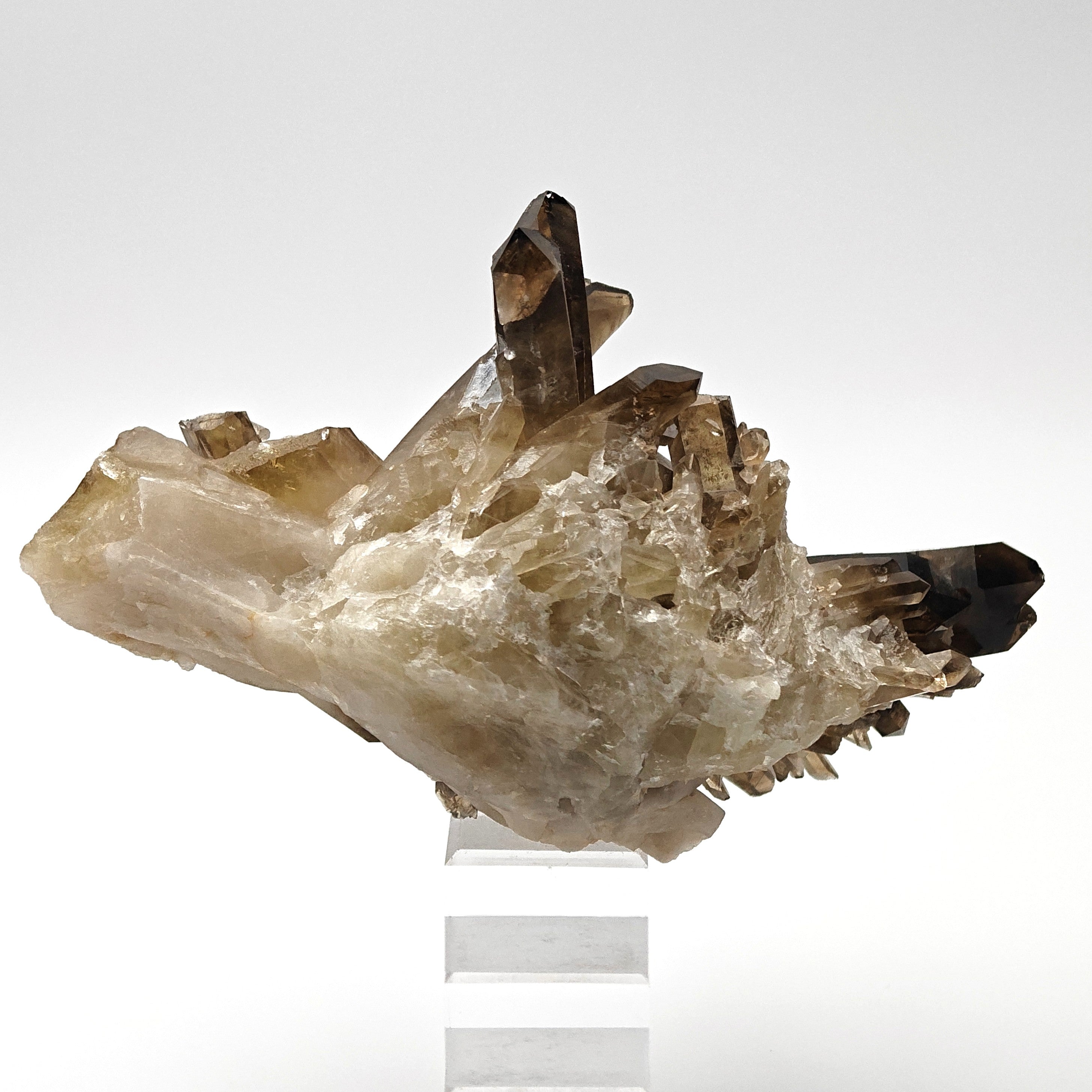 CITRINE QUARTZ – Curved 8.8cm Crystal, Sahatany Valley, Madagascar