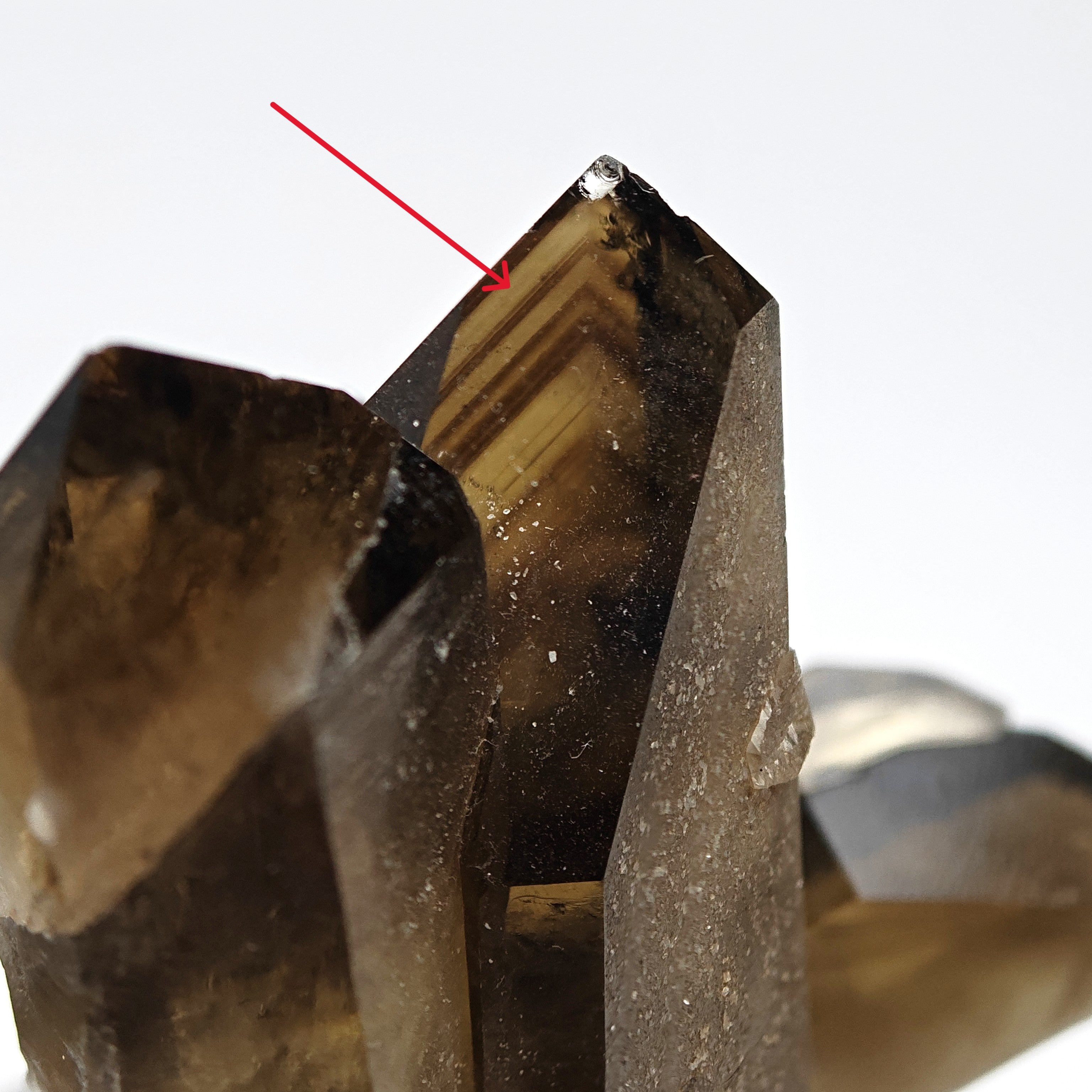 CITRINE QUARTZ – Curved 8.8cm Crystal, Sahatany Valley, Madagascar
