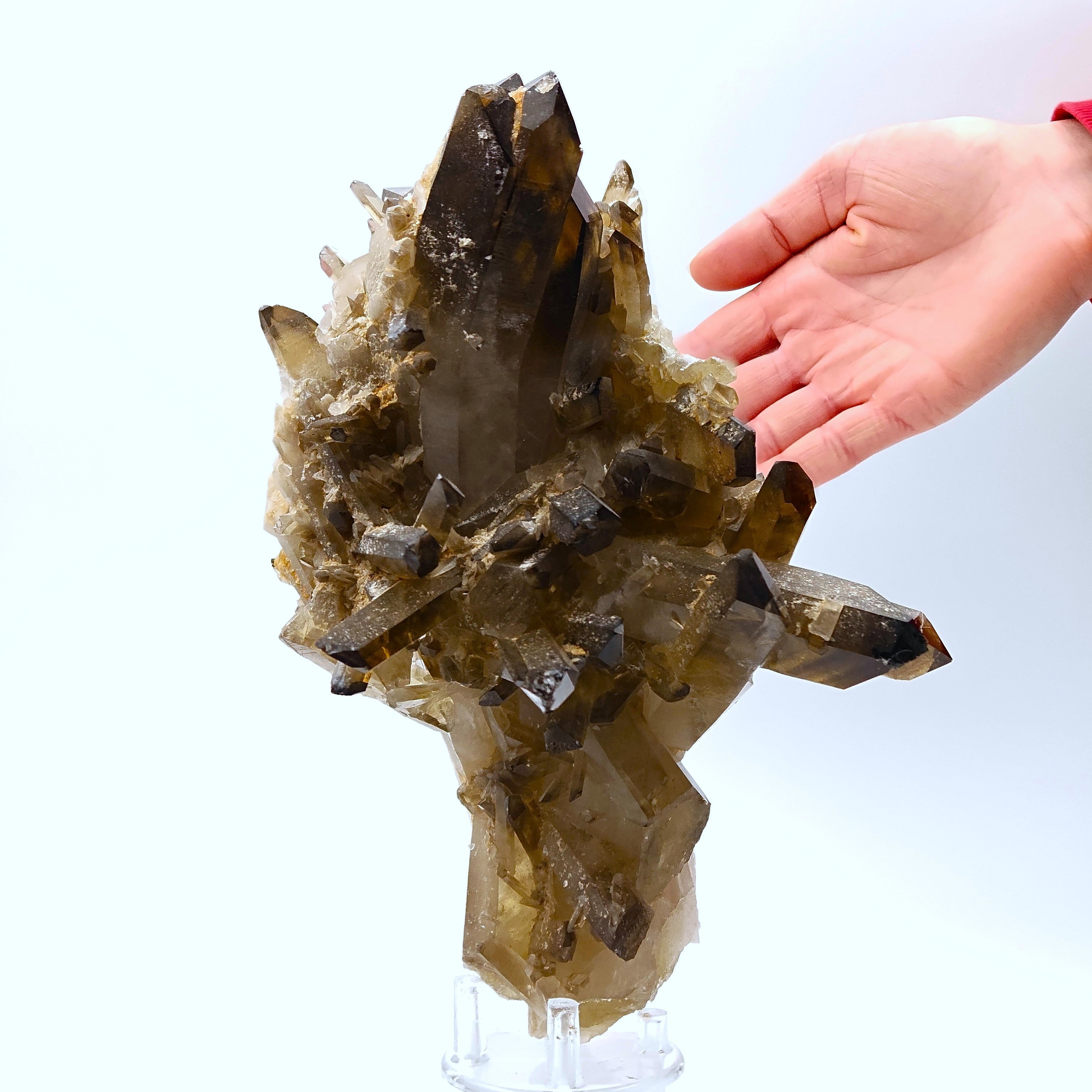 CITRINE QUARTZ – Curved 8.8cm Crystal, Sahatany Valley, Madagascar
