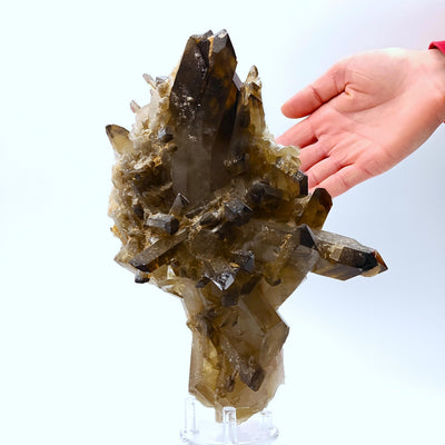 Side view of citrine quartz crystal cluster with hand for scale