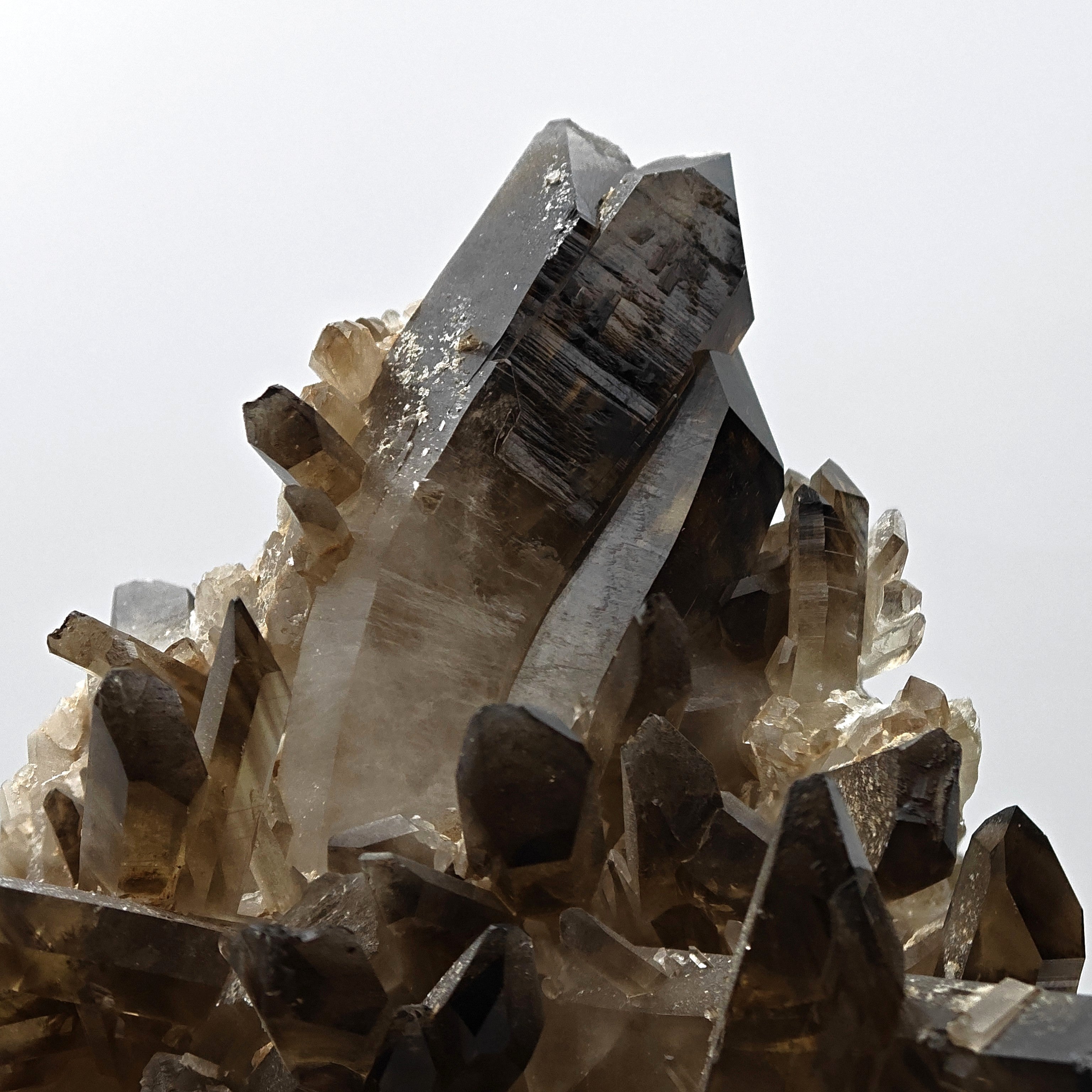 CITRINE QUARTZ – Curved 8.8cm Crystal, Sahatany Valley, Madagascar
