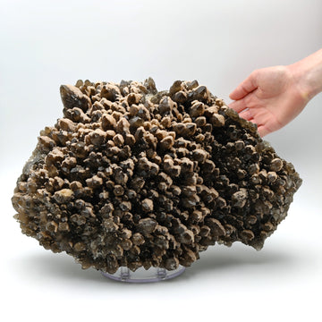 SMOKY QUARTZ & PINK DOLOMITE – Huge Citrine-Toned Cluster, Cavnic, Romania