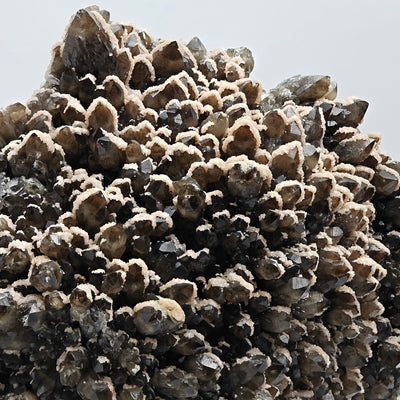 Top view close-up of smoky quartz crystal points coated with pink dolomite, Cavnic, Romania