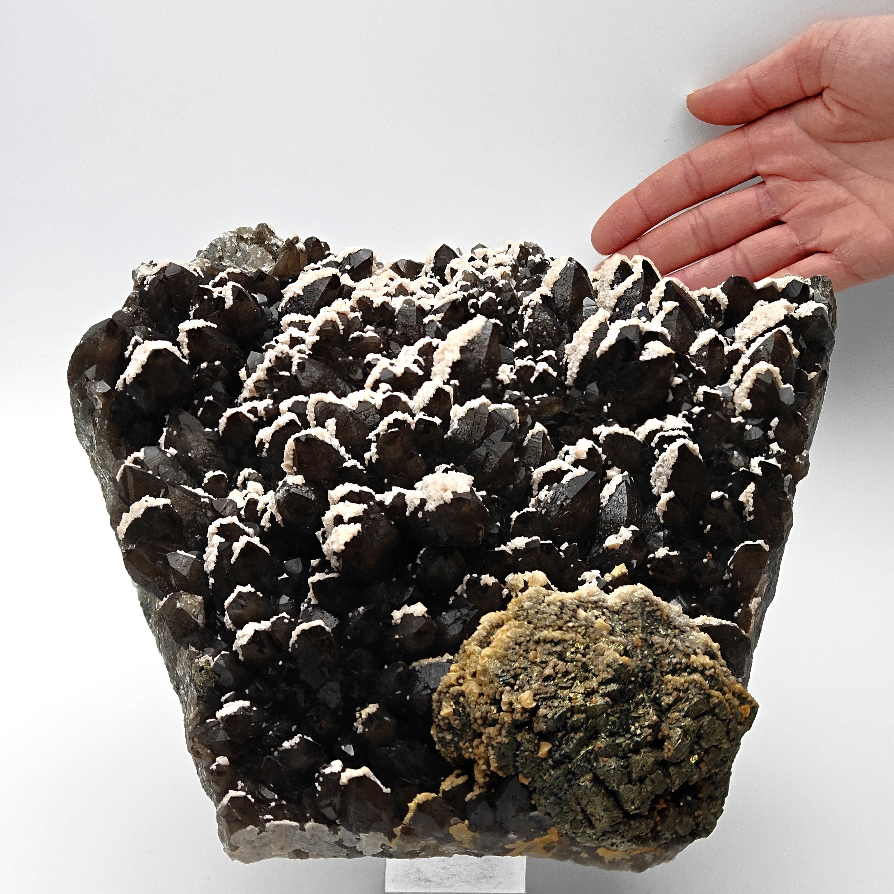 BLACK QUARTZ – Very Dark Smoky Quartz with golden PYRITE and DOLOMITE, Romania
