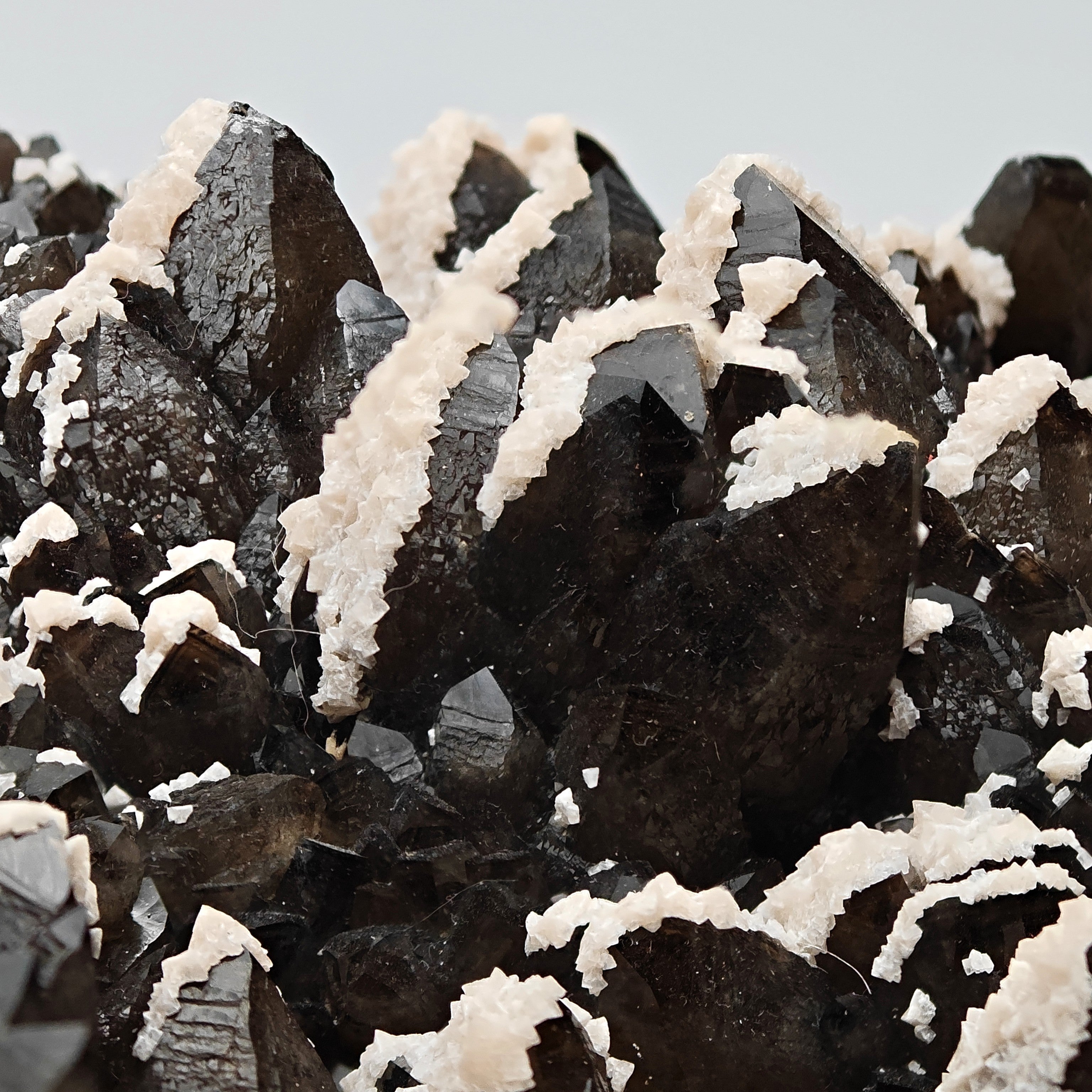 BLACK QUARTZ – Very Dark Smoky Quartz with golden PYRITE and DOLOMITE, Romania