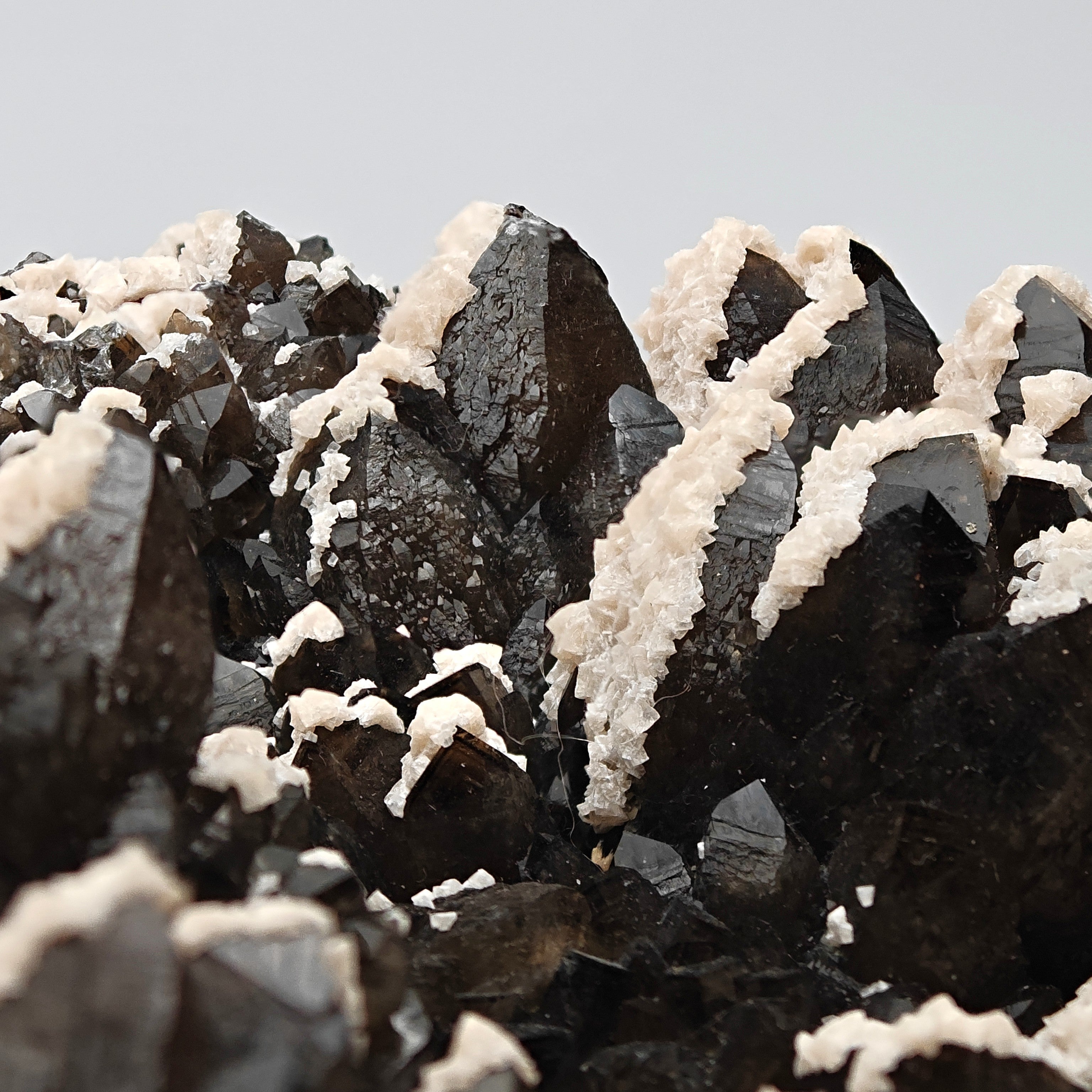 BLACK QUARTZ – Very Dark Smoky Quartz with golden PYRITE and DOLOMITE, Romania