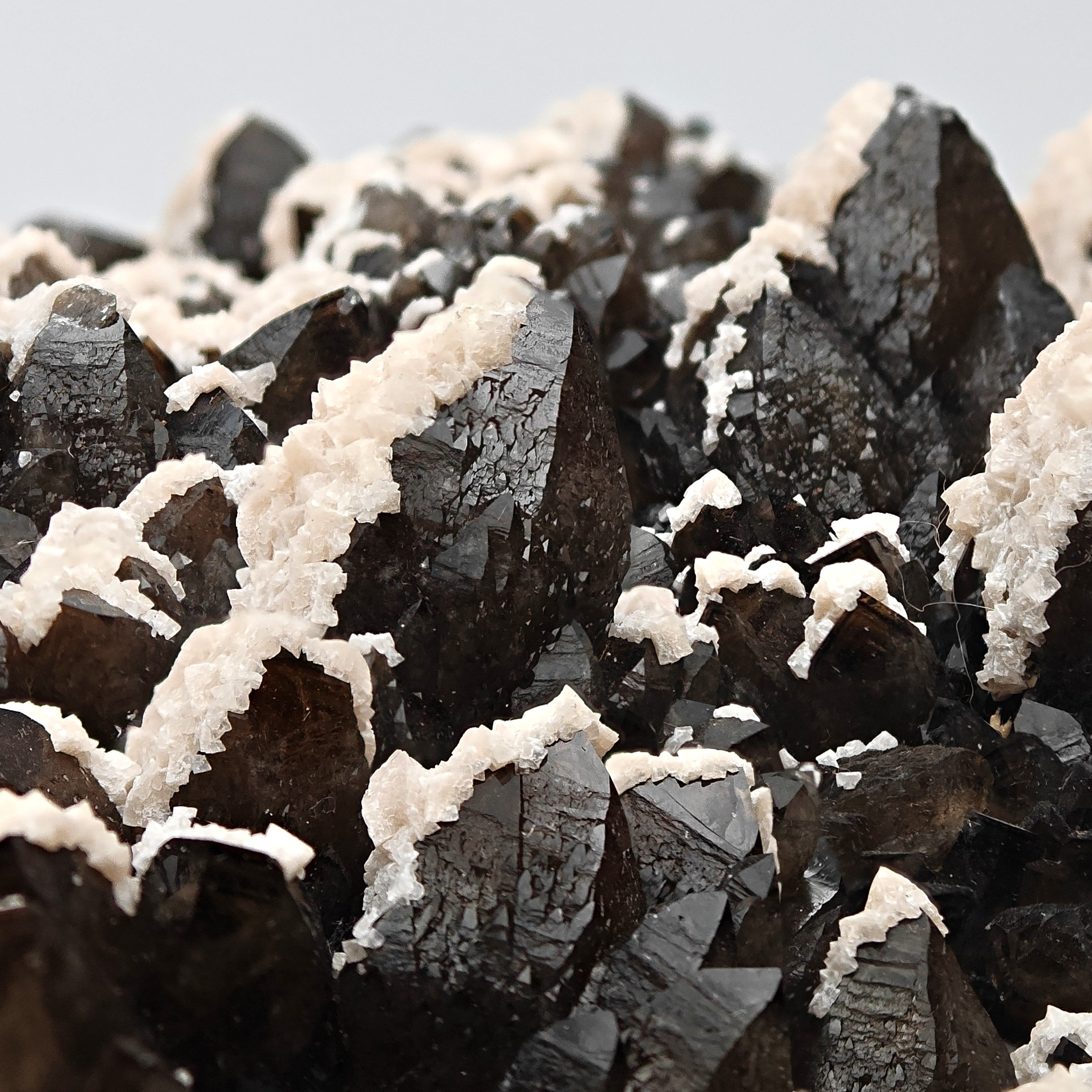 BLACK QUARTZ – Very Dark Smoky Quartz with golden PYRITE and DOLOMITE, Romania
