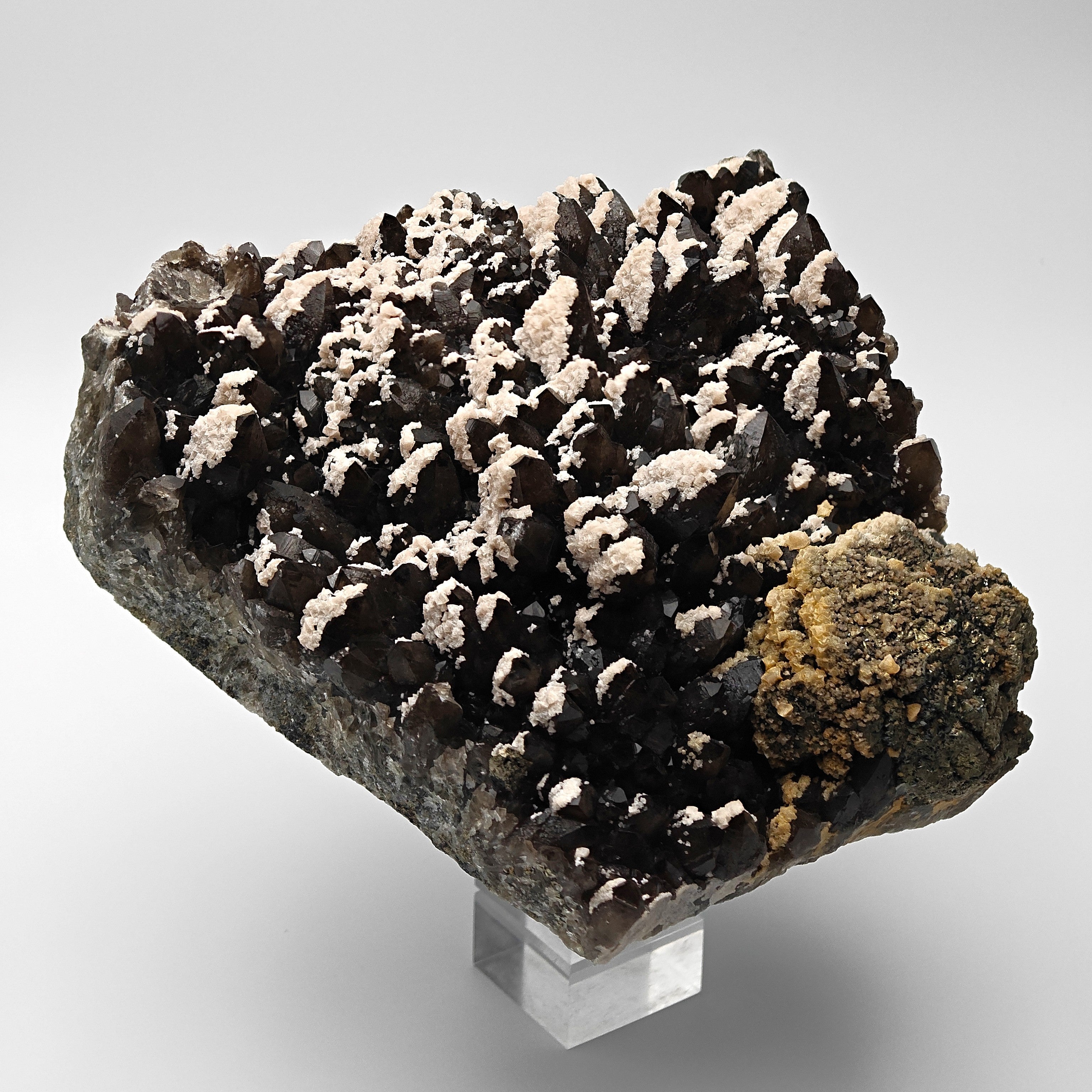 BLACK QUARTZ – Very Dark Smoky Quartz with golden PYRITE and DOLOMITE, Romania