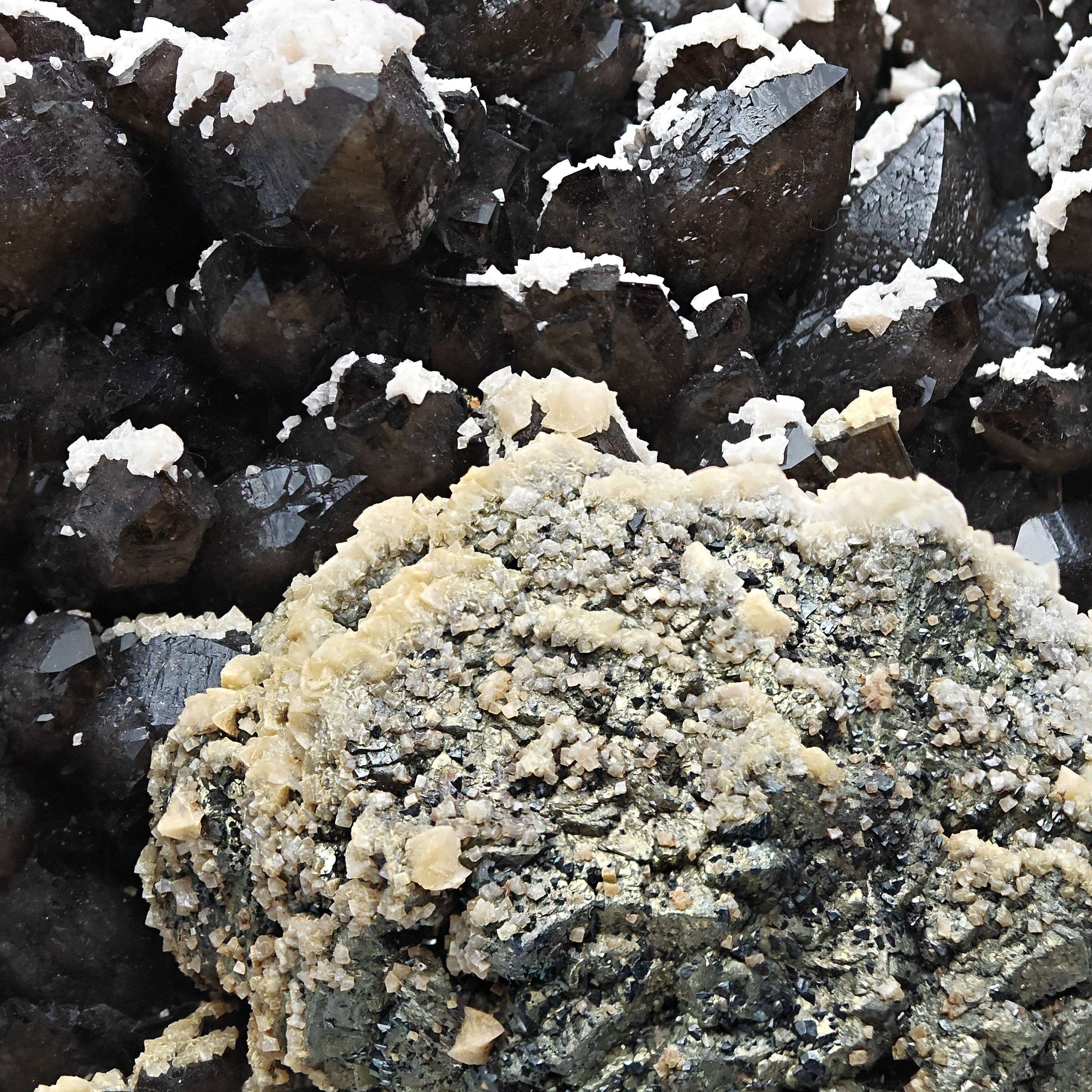 BLACK QUARTZ – Very Dark Smoky Quartz with golden PYRITE and DOLOMITE, Romania