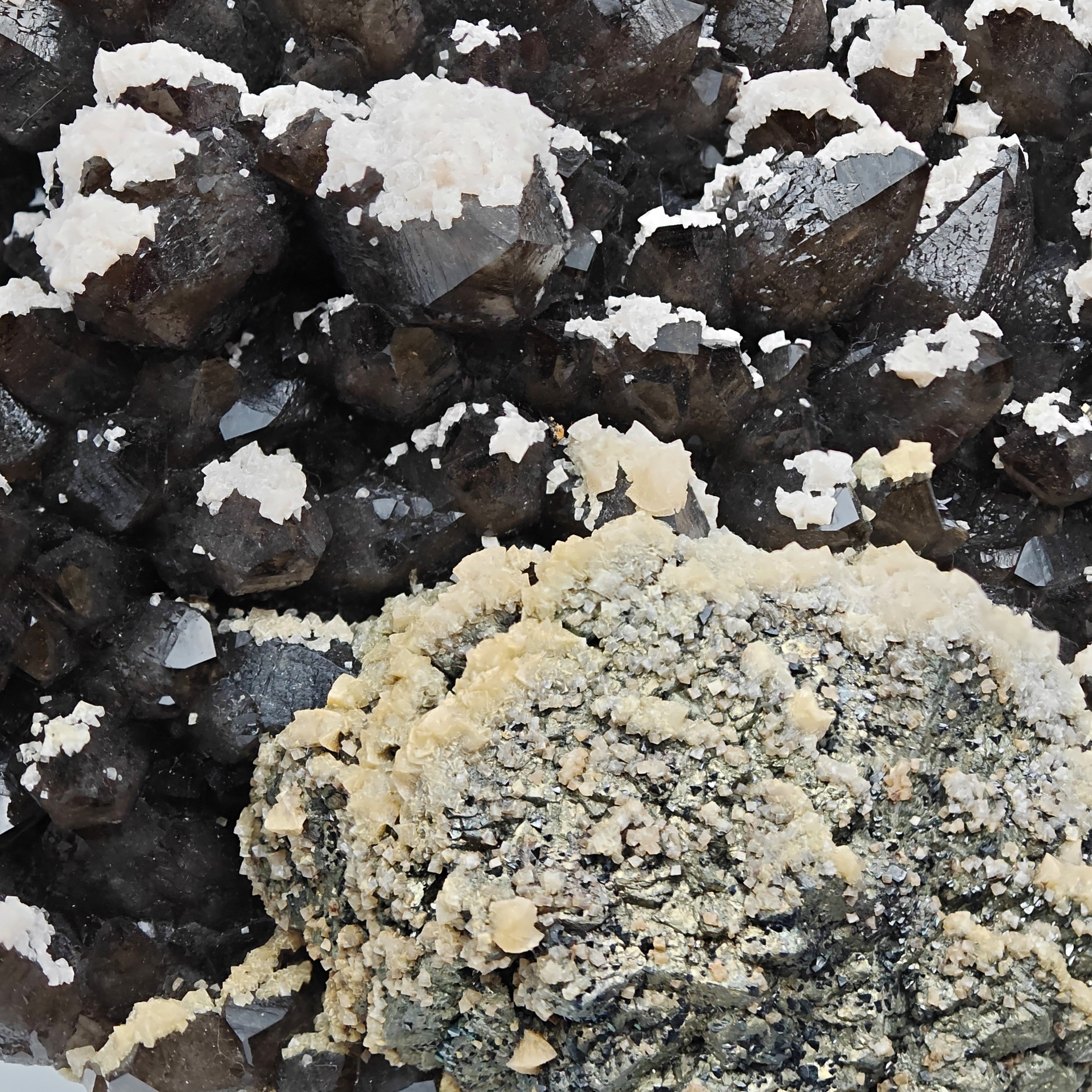 BLACK QUARTZ – Very Dark Smoky Quartz with golden PYRITE and DOLOMITE, Romania