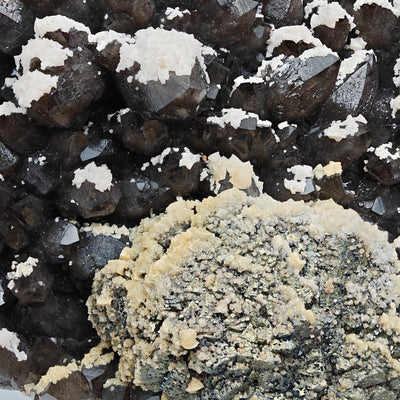 Close-up contrast of dark quartz, white dolomite and golden pyrite nodule