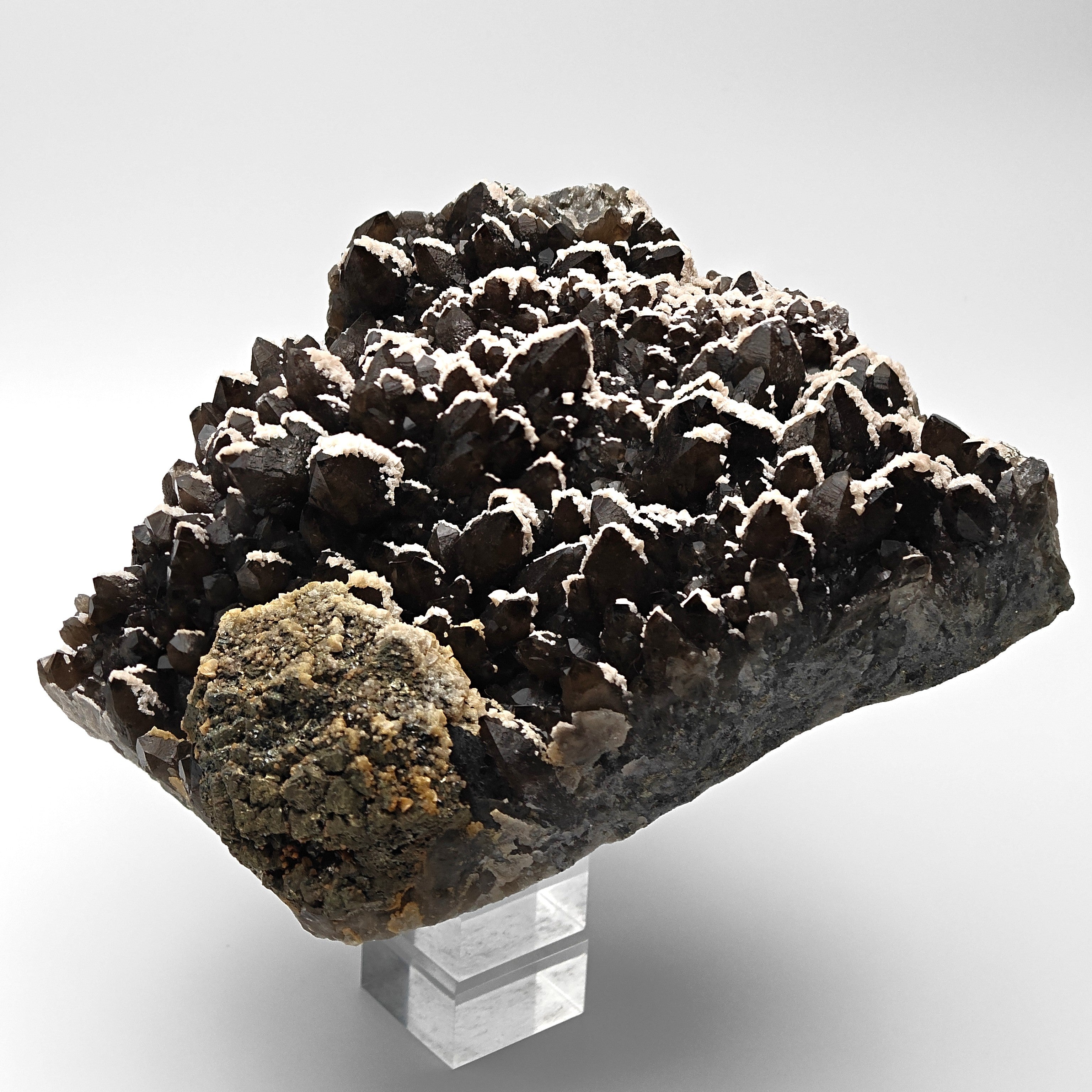 BLACK QUARTZ – Very Dark Smoky Quartz with golden PYRITE and DOLOMITE, Romania