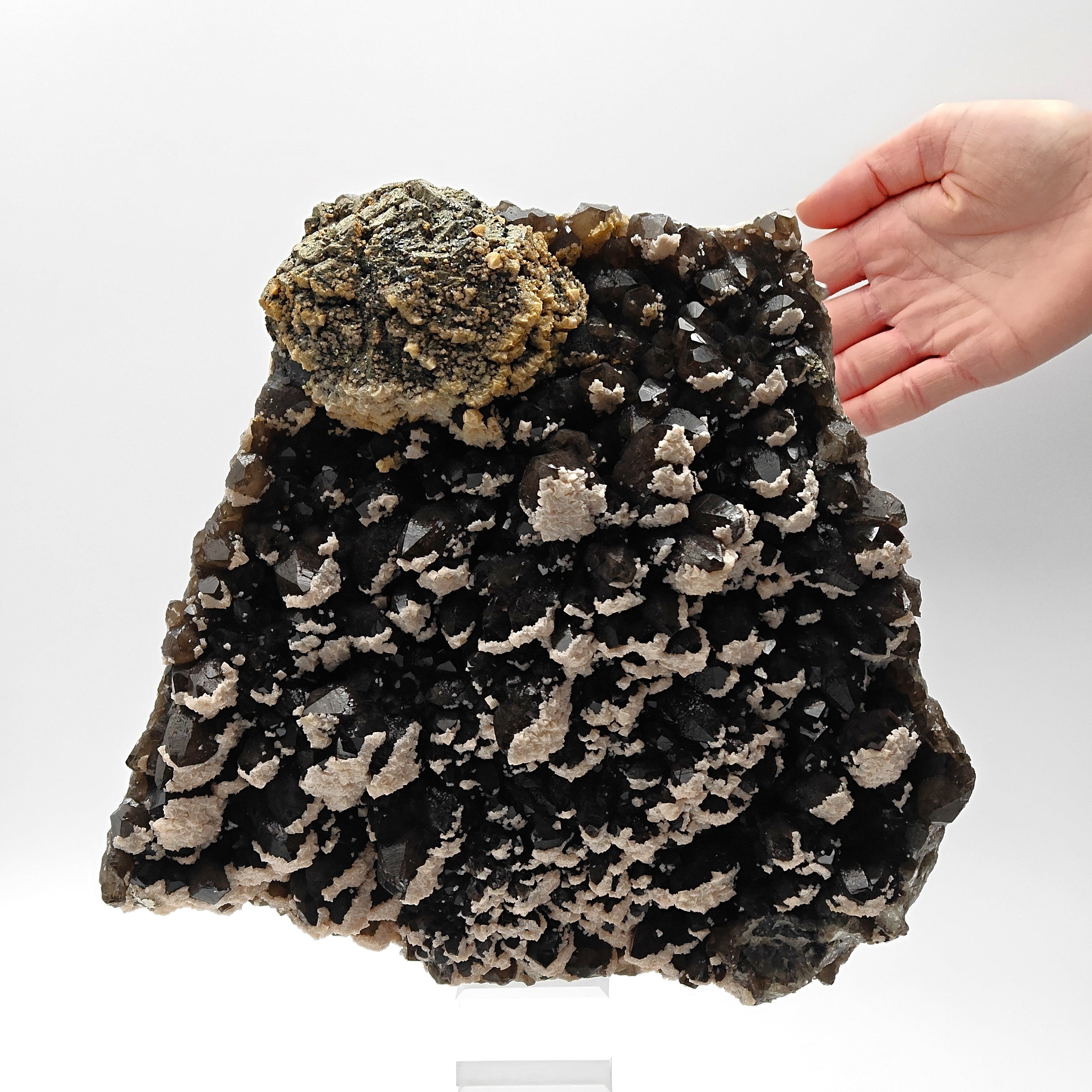 BLACK QUARTZ – Very Dark Smoky Quartz with golden PYRITE and DOLOMITE, Romania