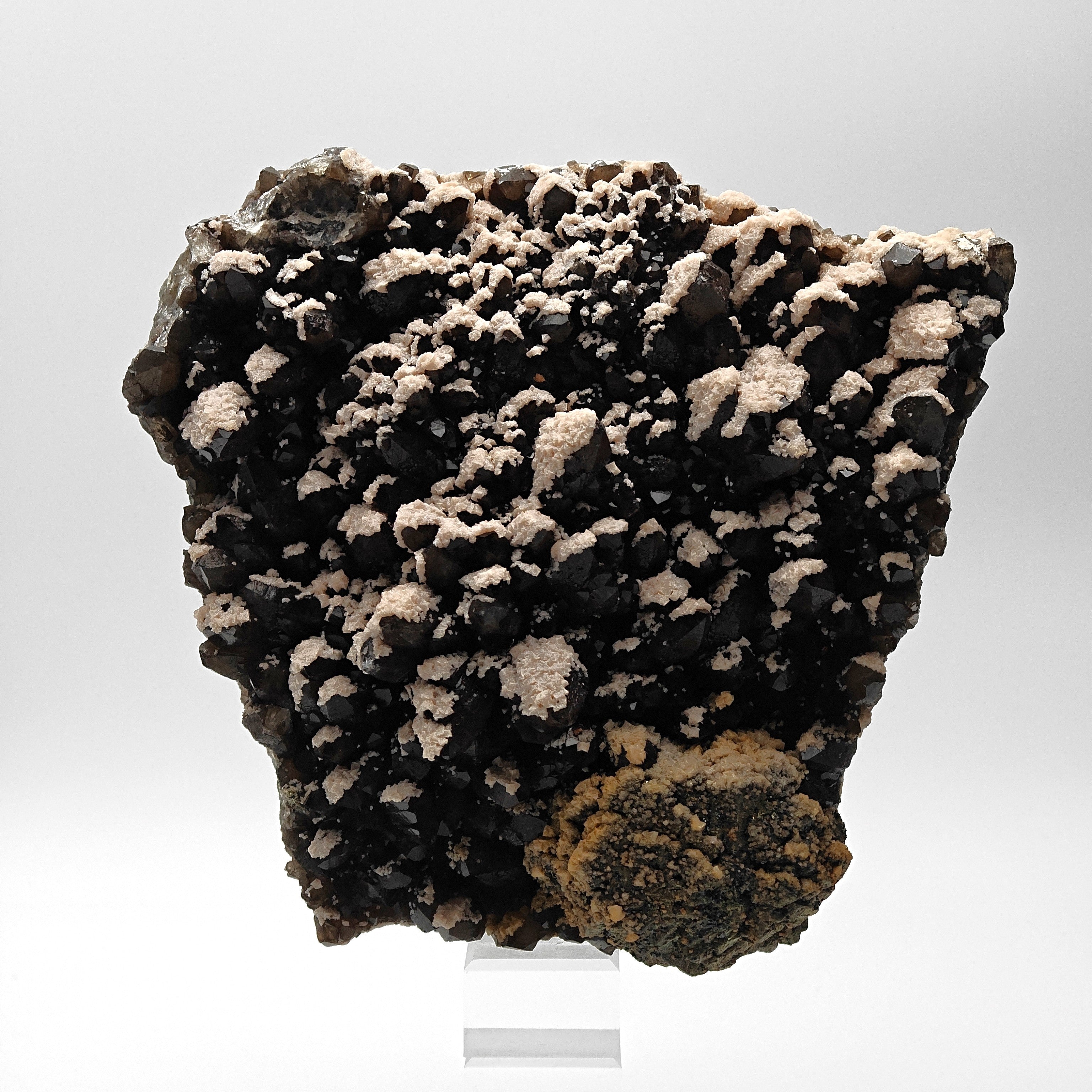 BLACK QUARTZ – Very Dark Smoky Quartz with golden PYRITE and DOLOMITE, Romania