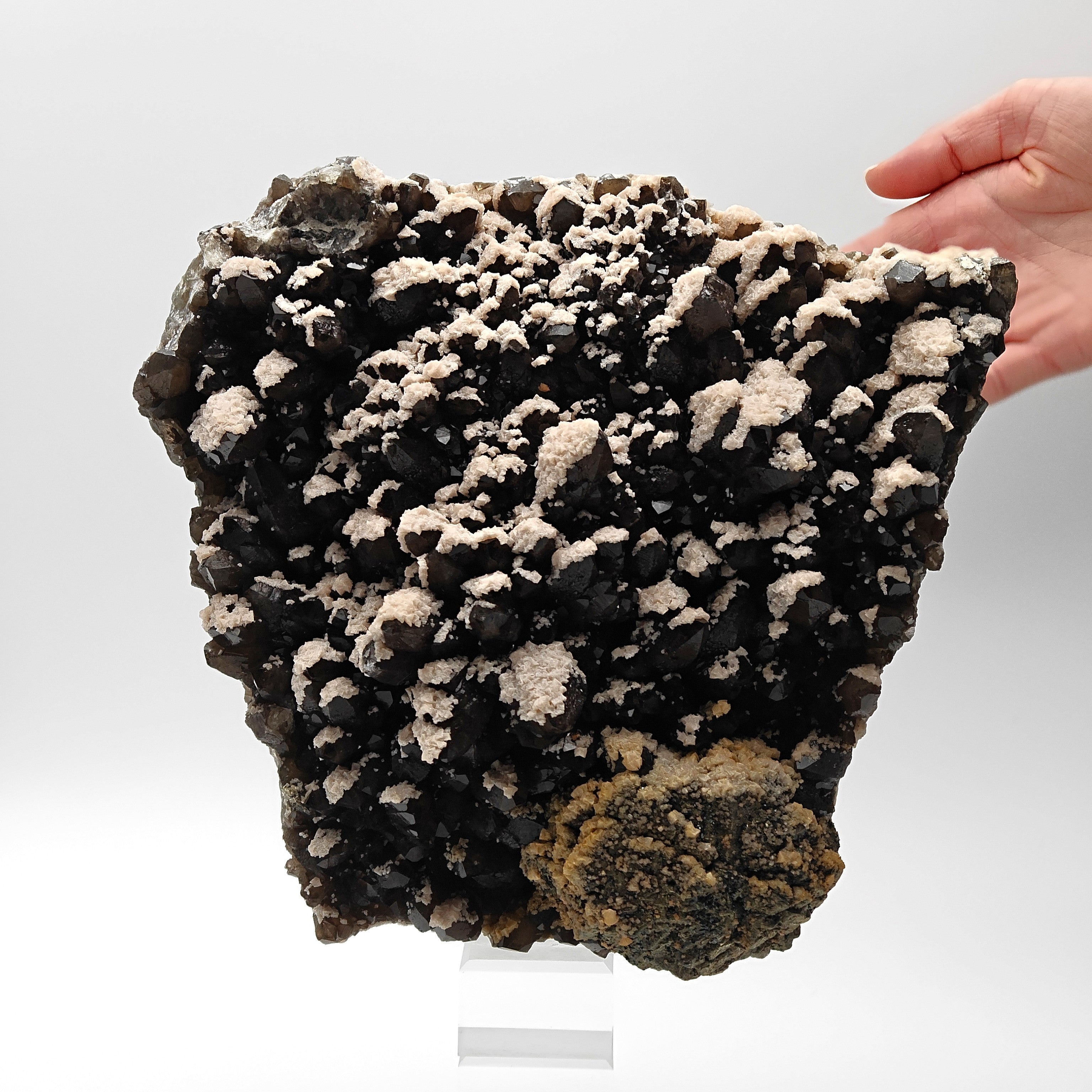 BLACK QUARTZ – Very Dark Smoky Quartz with golden PYRITE and DOLOMITE, Romania