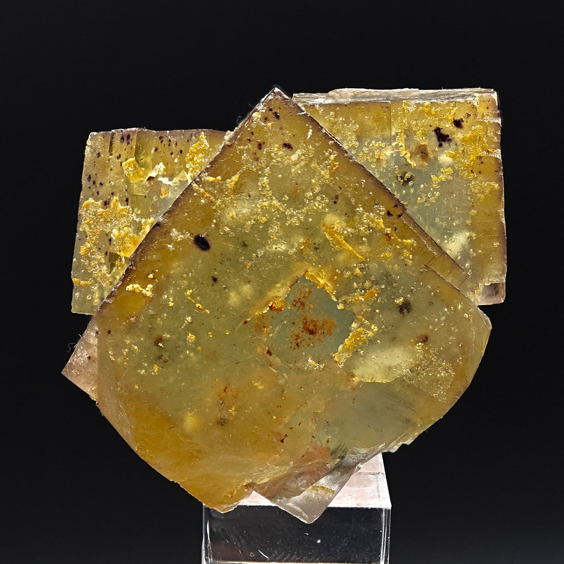BICOLOR FLUORITE – Green & Yellow Cubic Crystals with PHANTOMS, Morocco