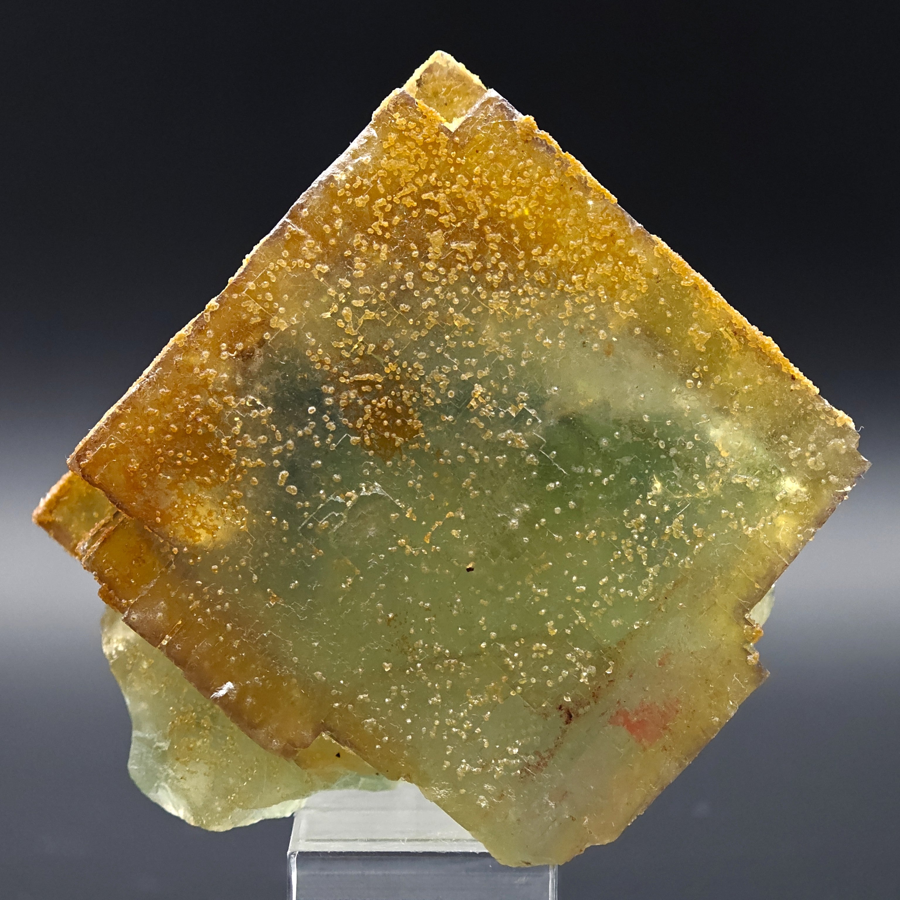 BICOLOR FLUORITE – Large CUBIC Green Crystal with Yellow PHANTOMS from Morocco