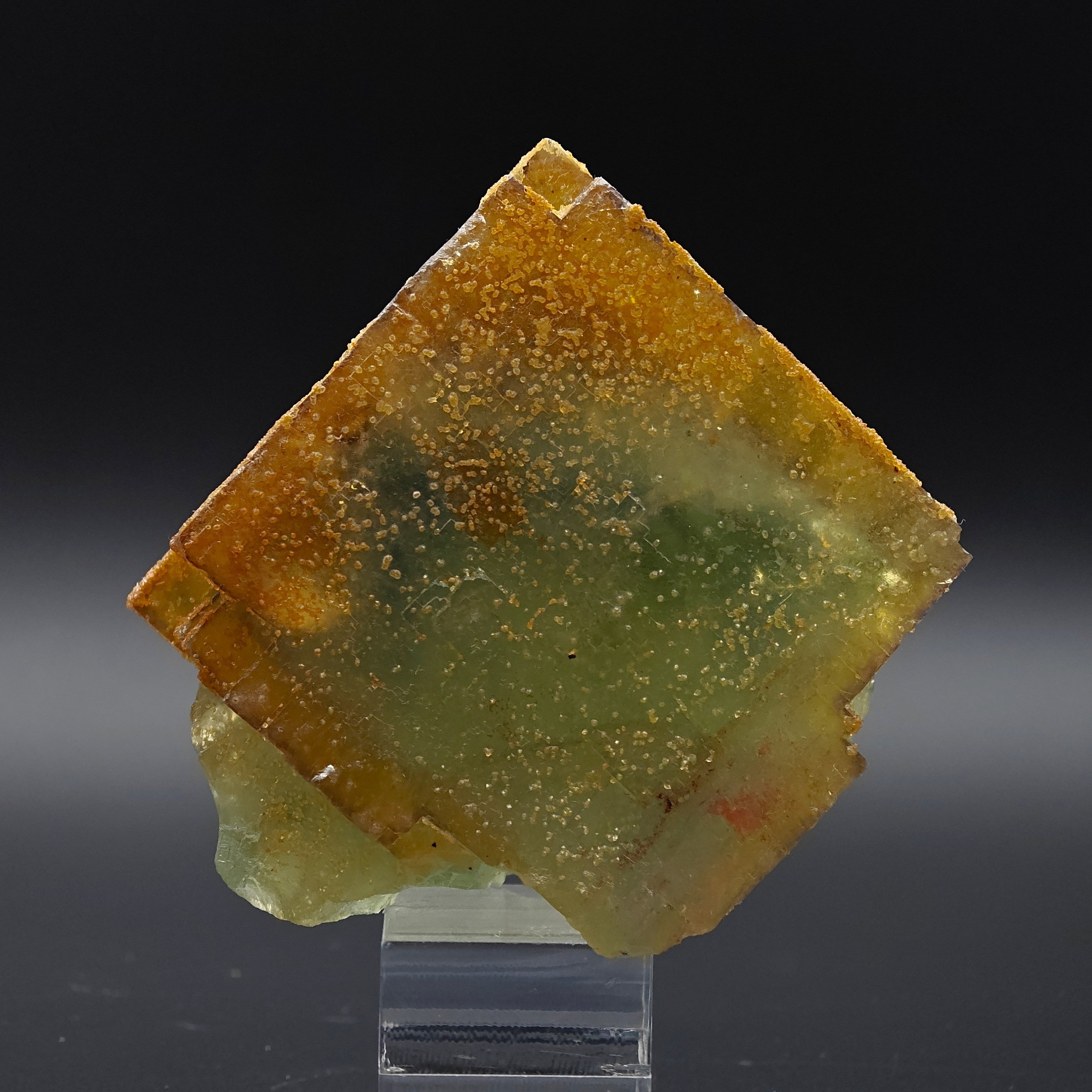 BICOLOR FLUORITE – Large CUBIC Green Crystal with Yellow PHANTOMS from Morocco