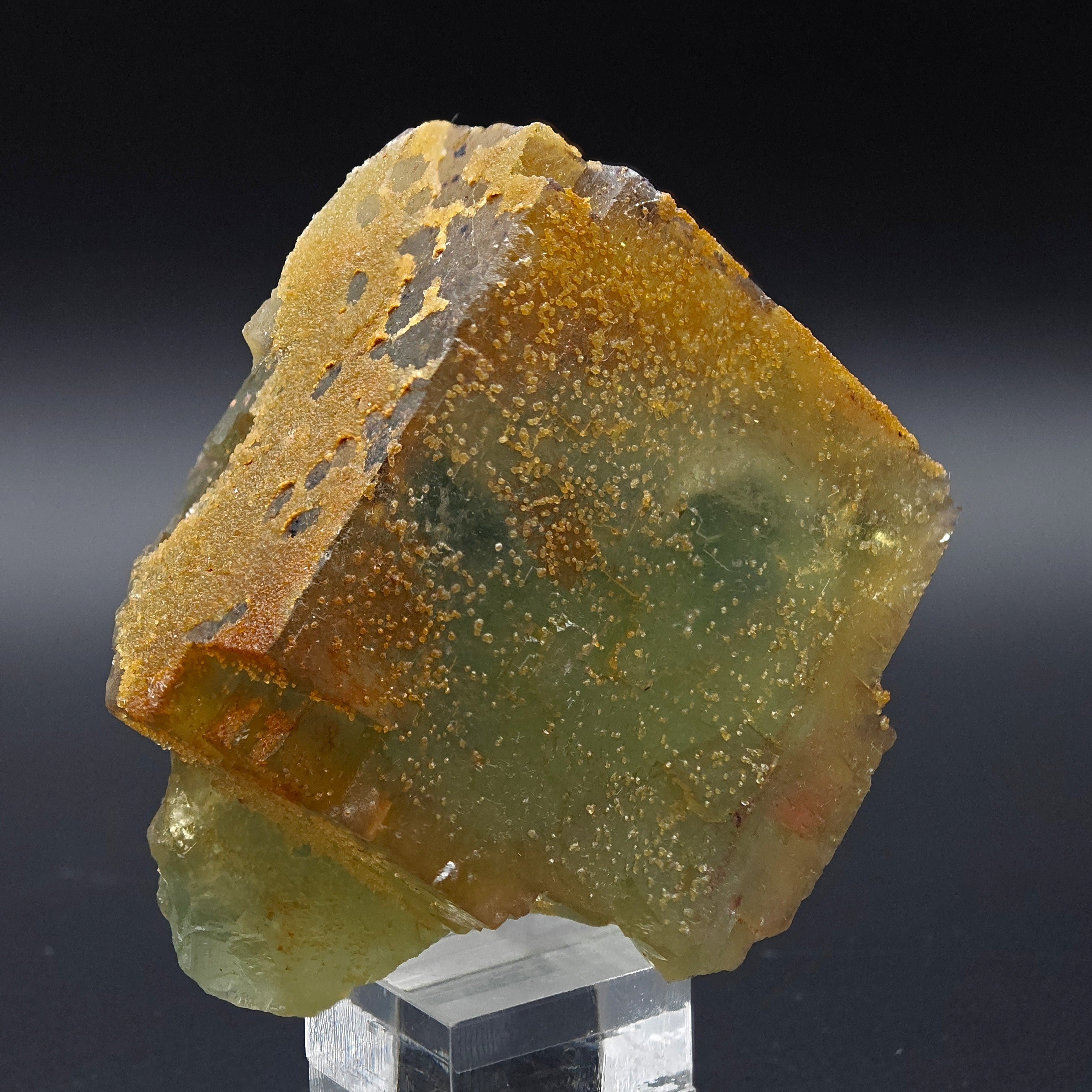BICOLOR FLUORITE – Large CUBIC Green Crystal with Yellow PHANTOMS from Morocco