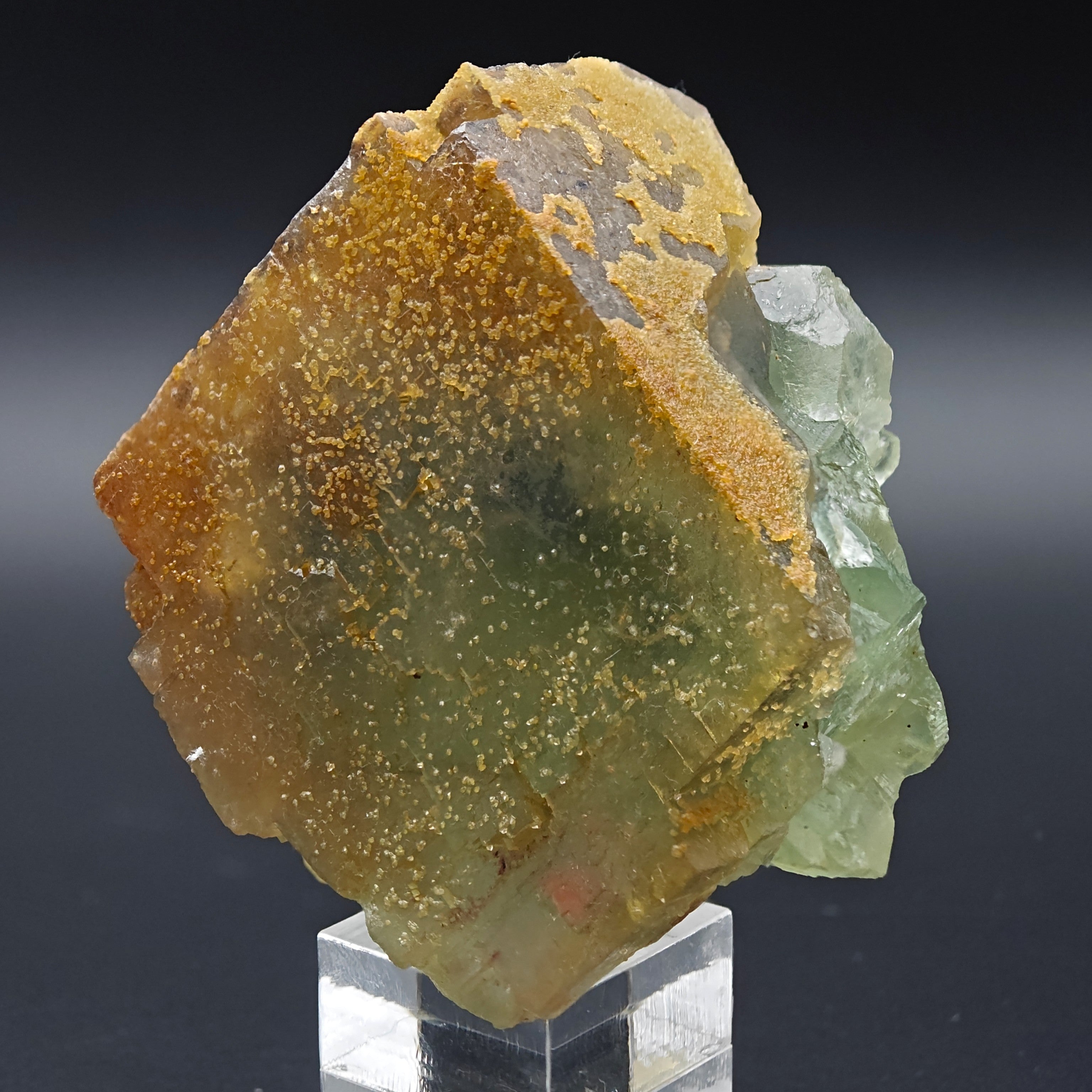 BICOLOR FLUORITE – Large CUBIC Green Crystal with Yellow PHANTOMS from Morocco