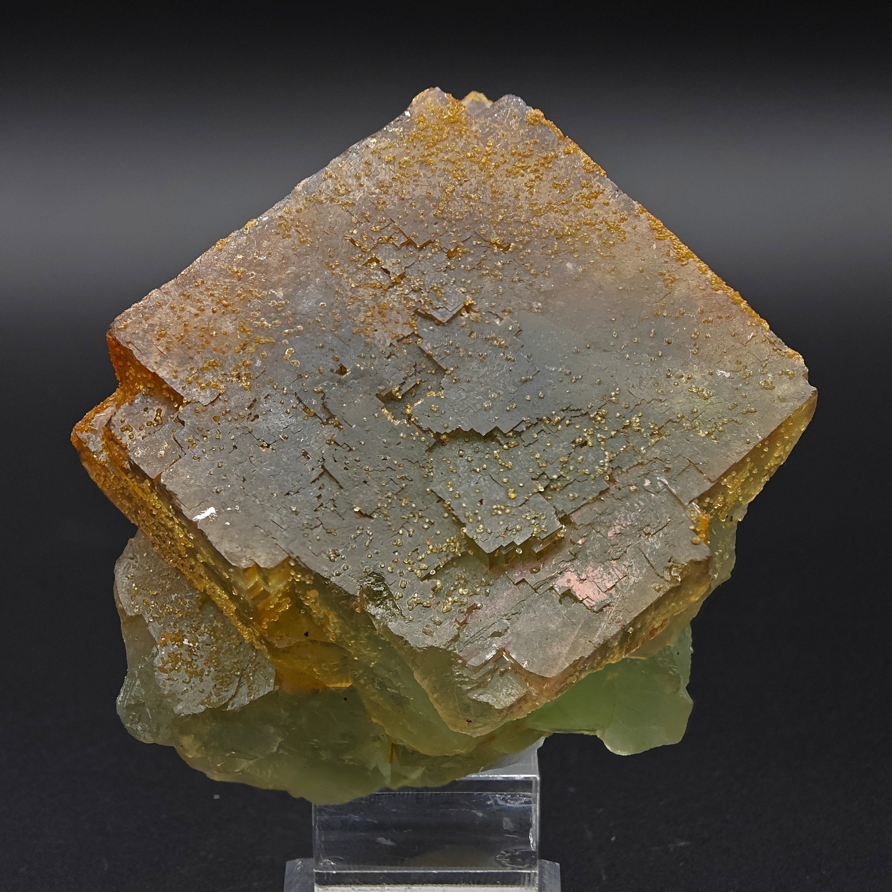 BICOLOR FLUORITE – Large CUBIC Green Crystal with Yellow PHANTOMS from Morocco