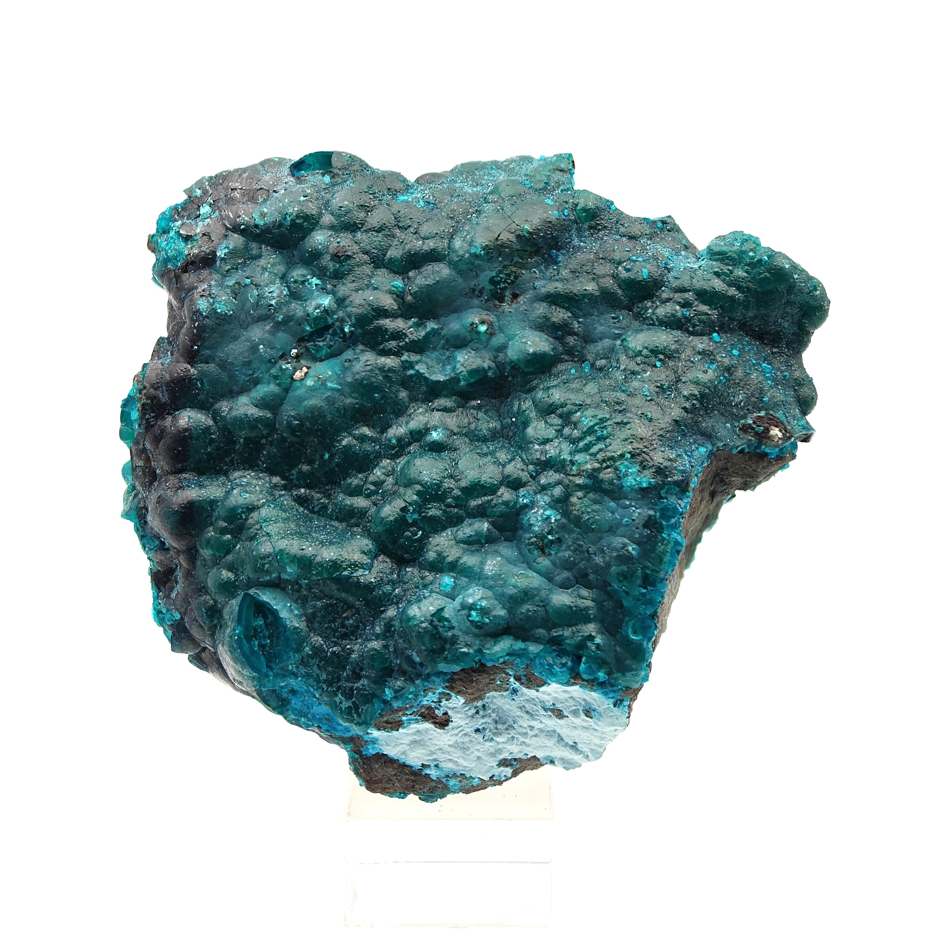 CHRYSOCOLLA & HETEROGENITE – Deep Blue Contrast, Star Mine, D.R. Congo