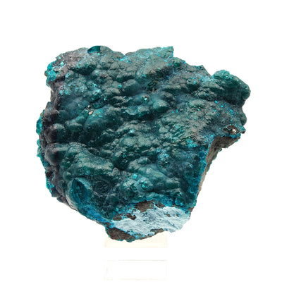 Blue chrysocolla intergrown with dark heterogenite, Star Mine, Haut-Katanga, Congo