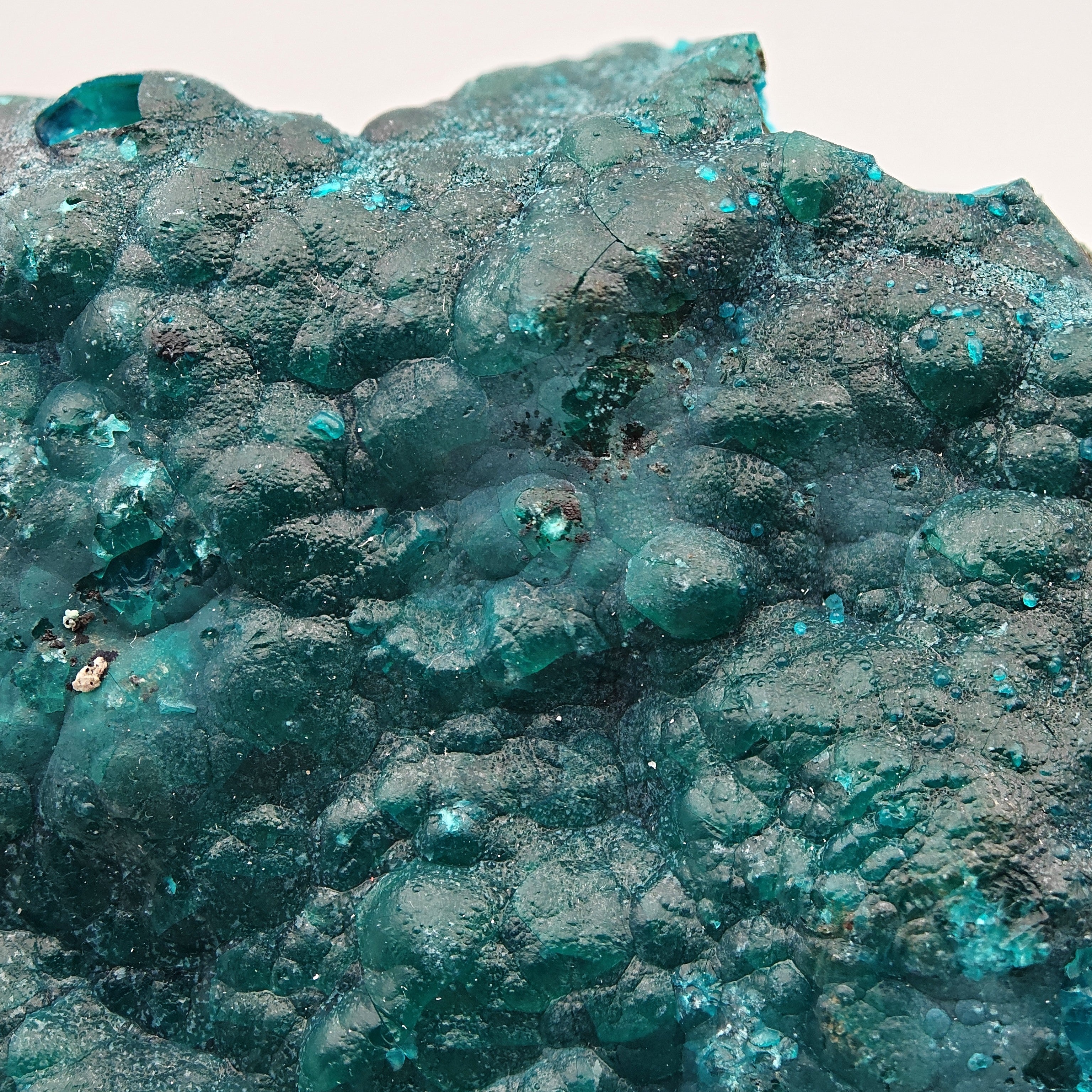 CHRYSOCOLLA & HETEROGENITE – Deep Blue Contrast, Star Mine, D.R. Congo