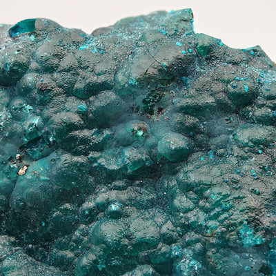 Close-up of botryoidal chrysocolla and heterogenite crystals showing color contrast