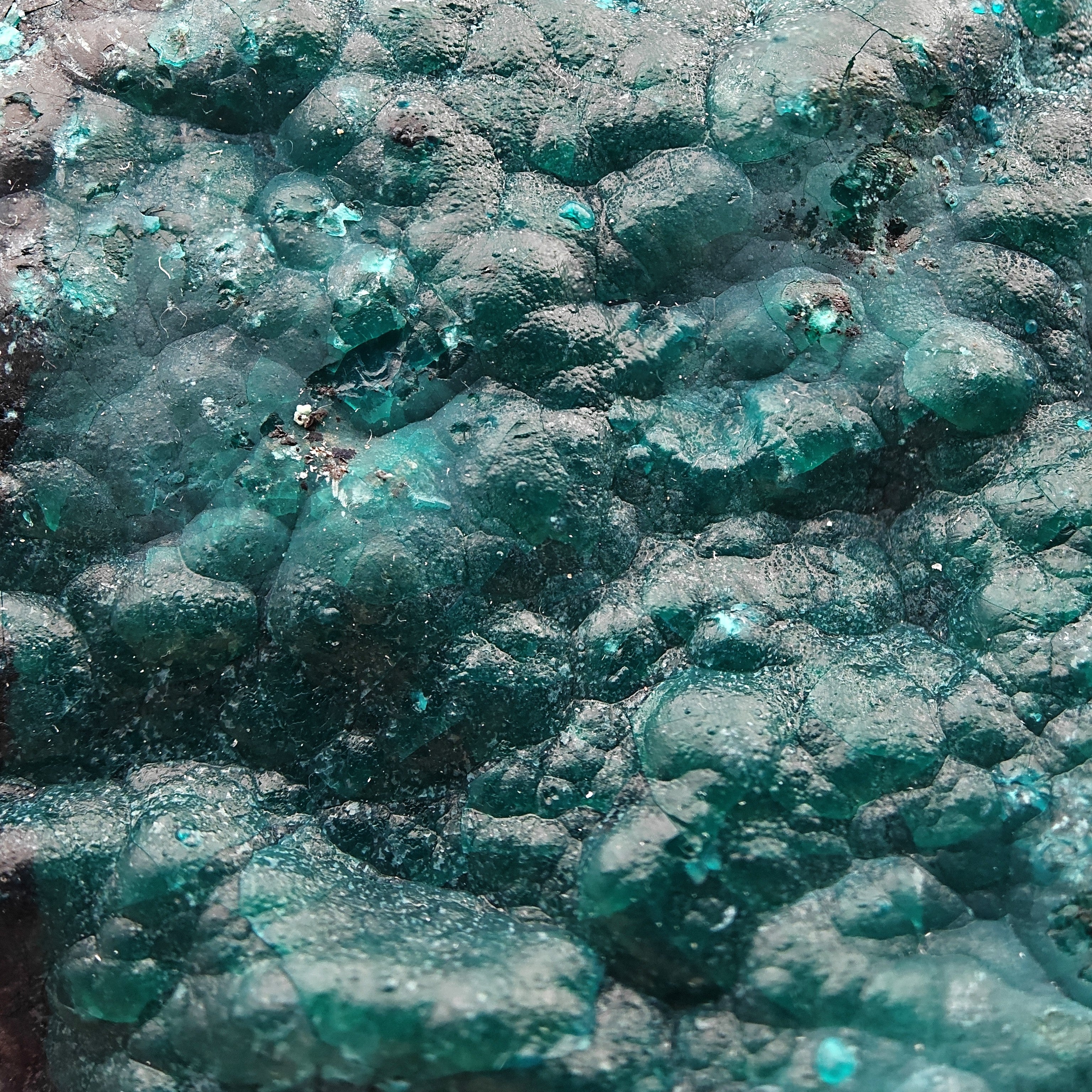 CHRYSOCOLLA & HETEROGENITE – Deep Blue Contrast, Star Mine, D.R. Congo
