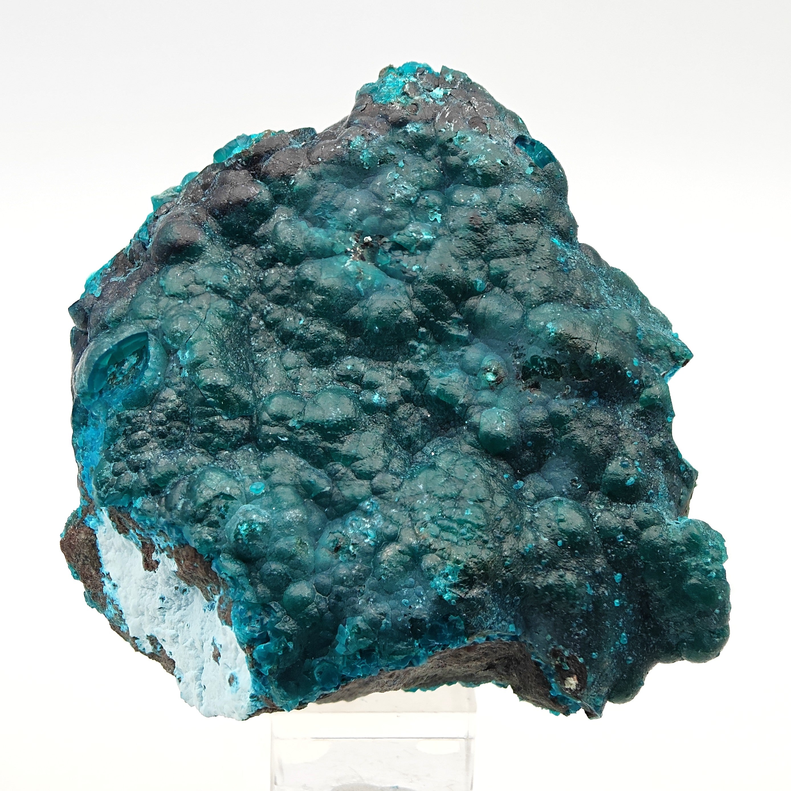 CHRYSOCOLLA & HETEROGENITE – Deep Blue Contrast, Star Mine, D.R. Congo