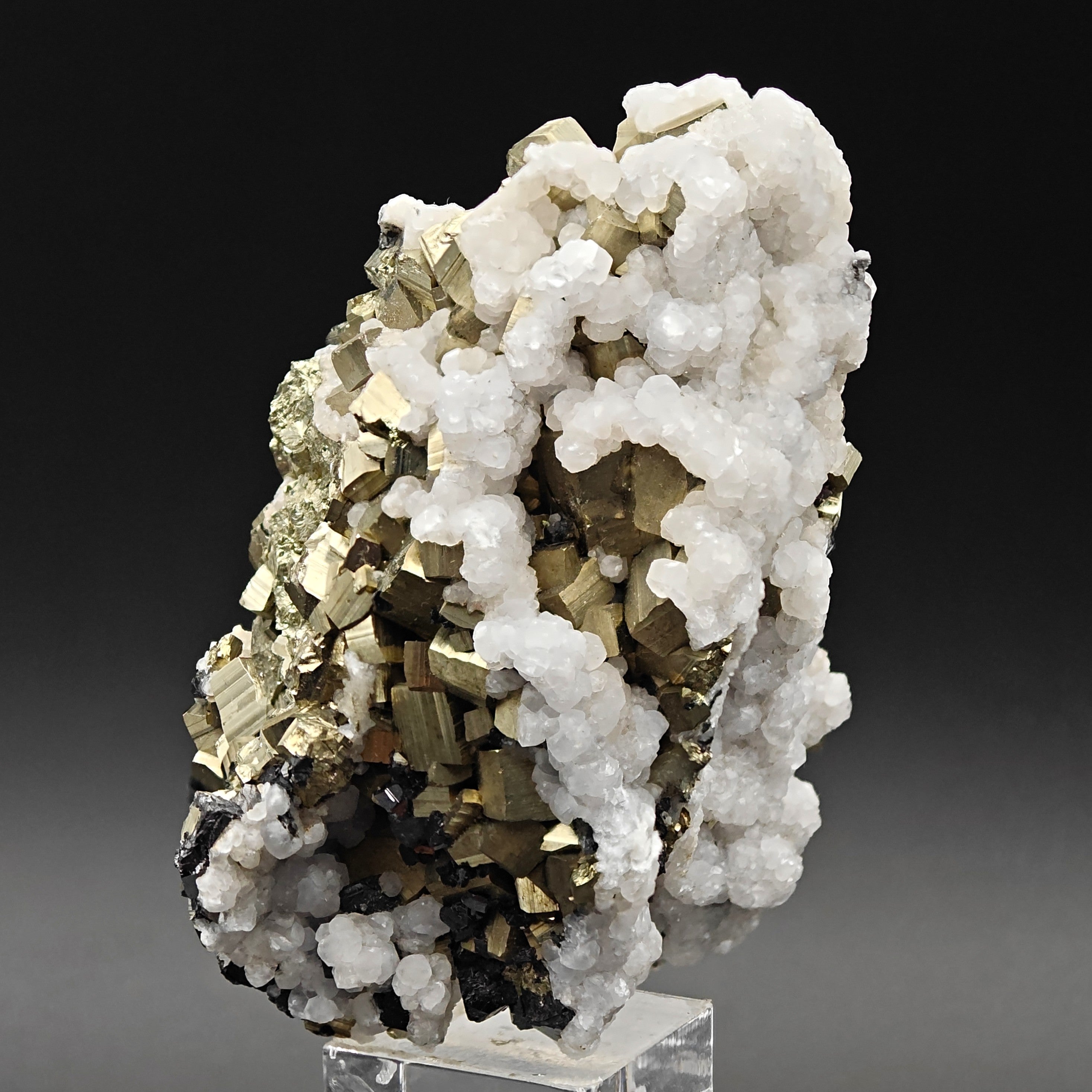 PYRITE, CALCITE & SPHALERITE – Lustrous Golden Crystals, Huanzala Mine, Peru