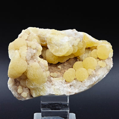 Side view of golden Fluorite spheres emerging from white Quartz matrix