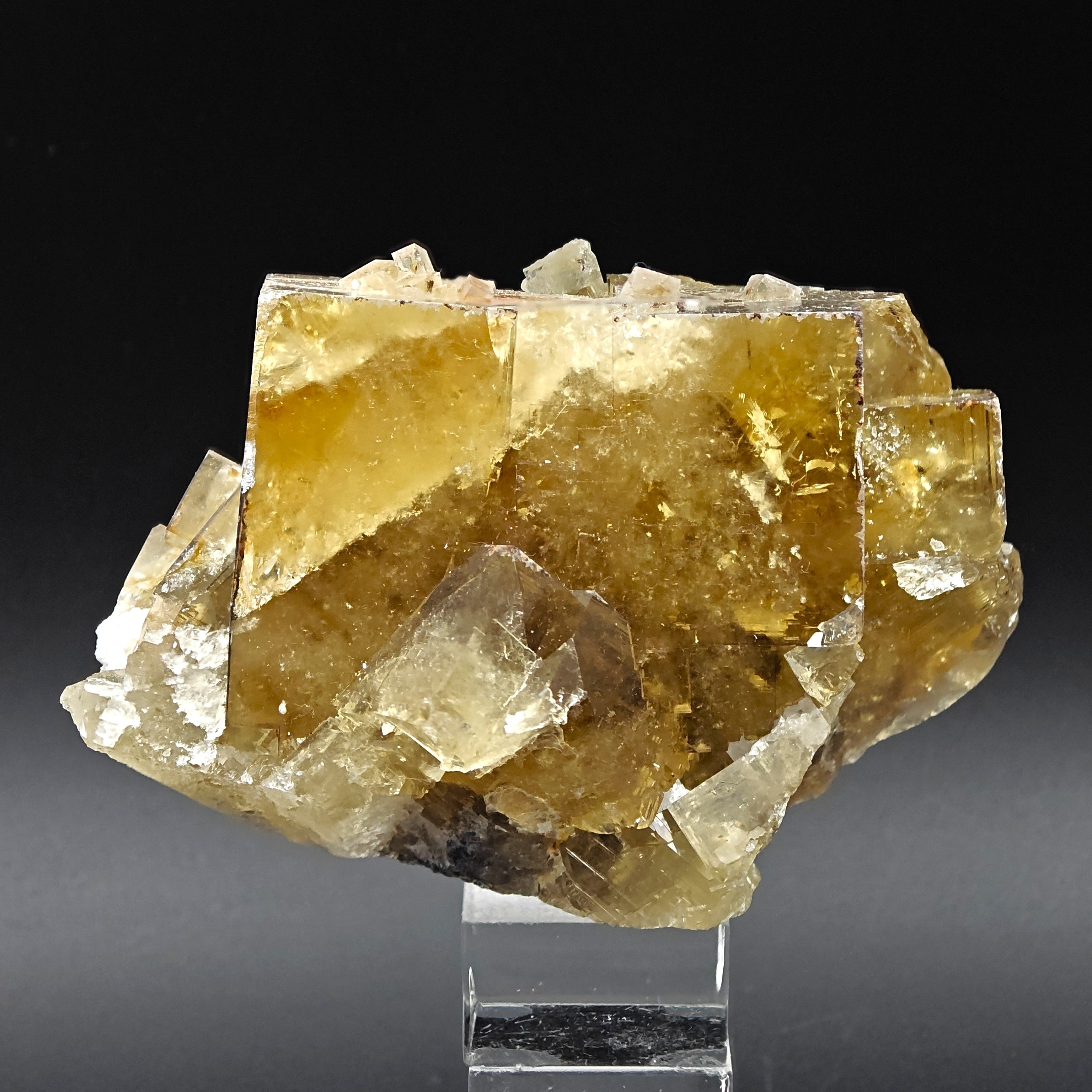FLUORITE – Golden-Yellow Cubic Crystals, Huairou District, Beijing, China